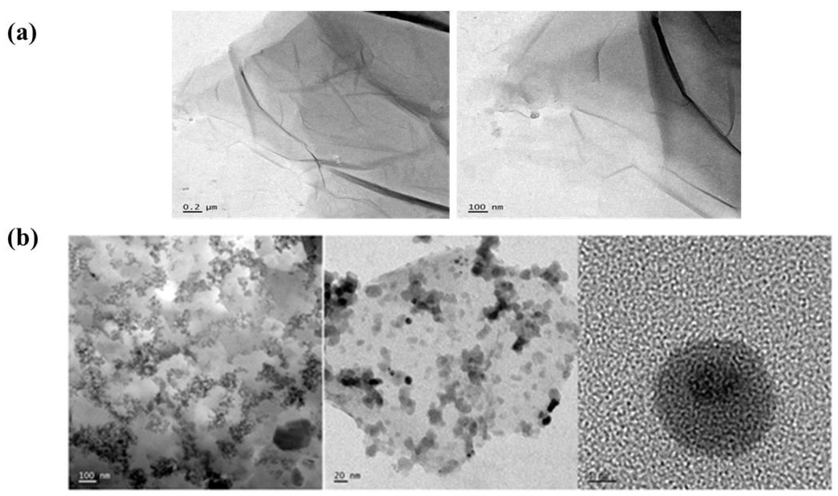 Crystals 13 01047 g005