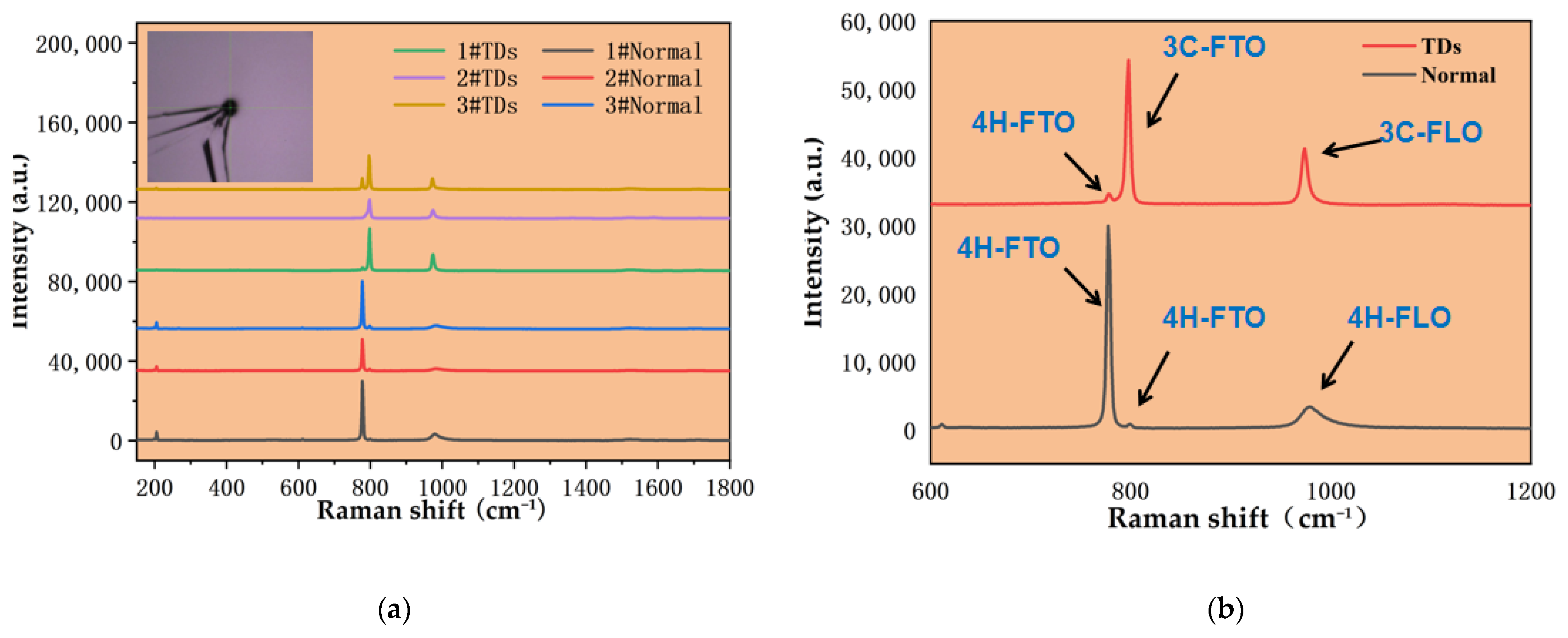 Crystals 13 01056 g003