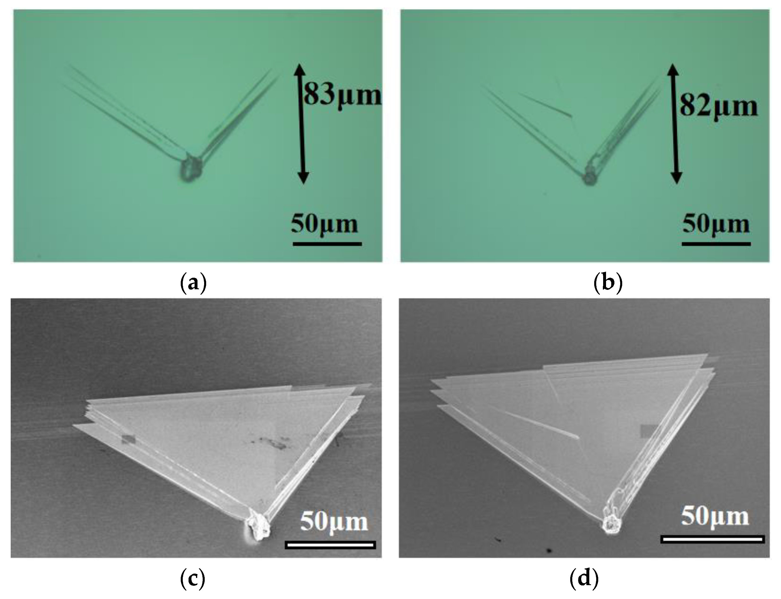 Crystals 13 01056 g004
