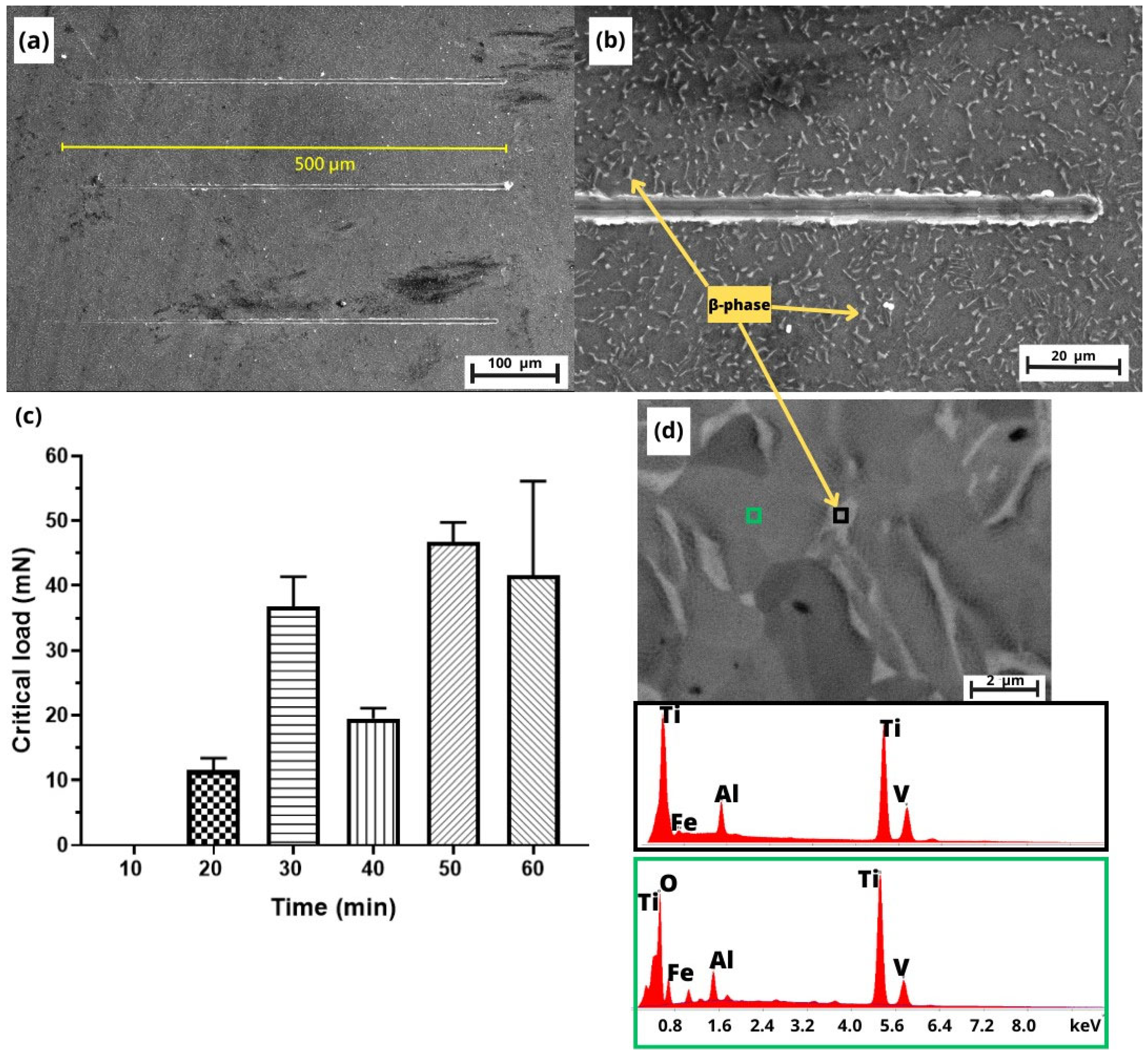 Crystals 13 01059 g004 Crystals 13 01059 g004