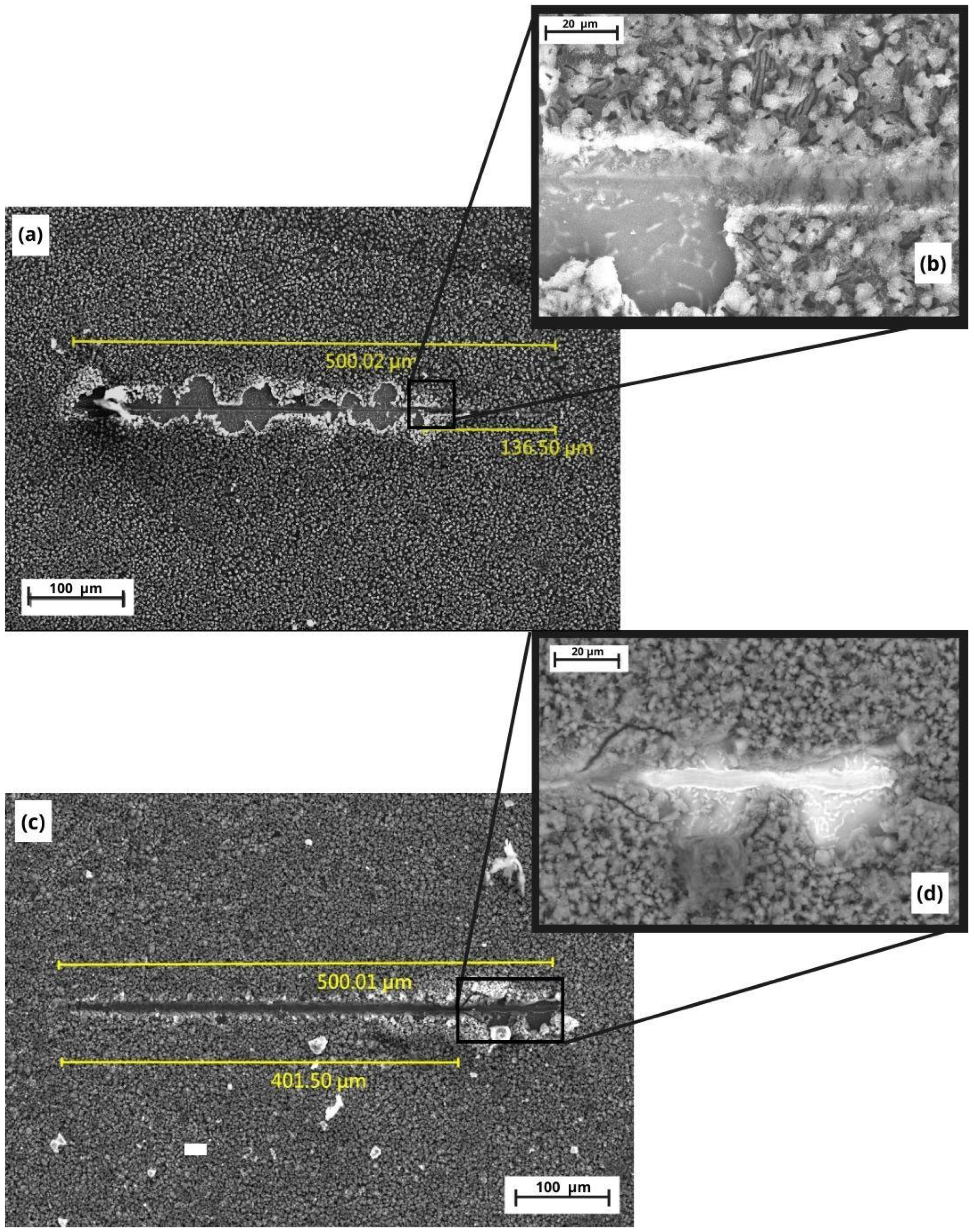 Crystals 13 01059 g005 Crystals 13 01059 g005