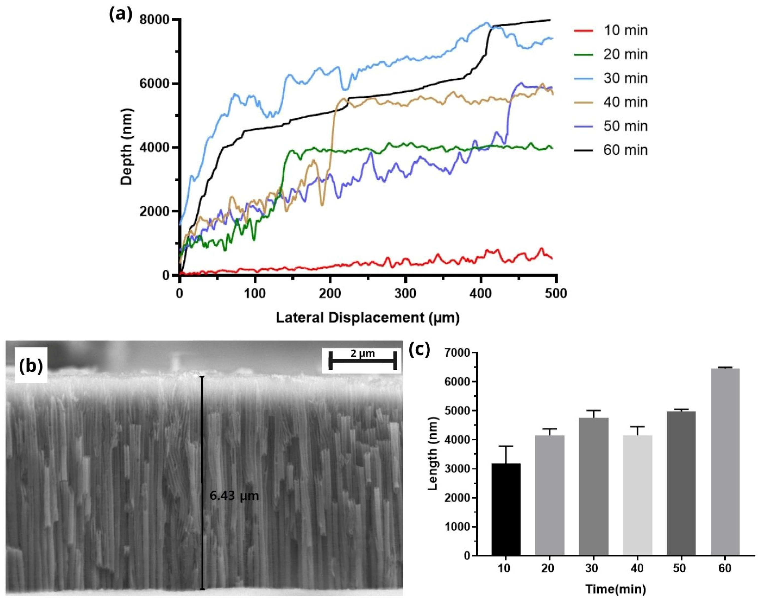 Crystals 13 01059 g006 Crystals 13 01059 g006