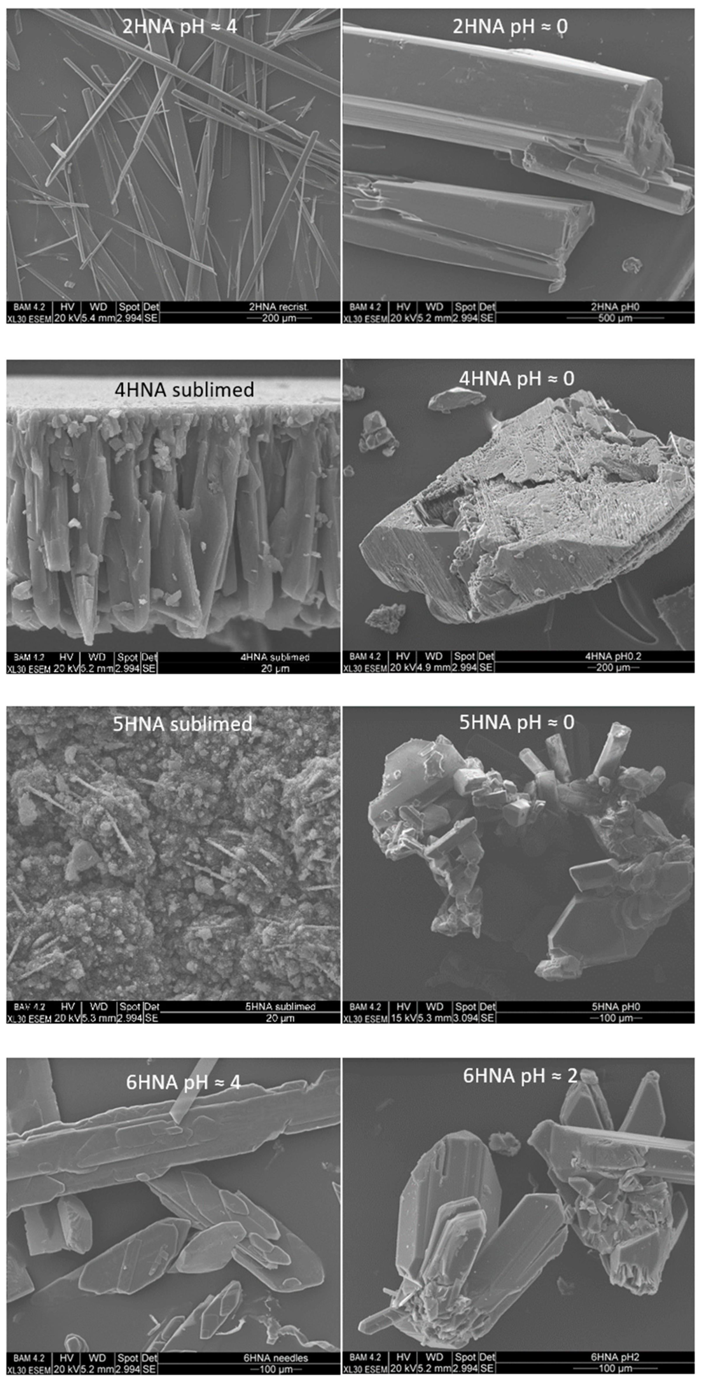 Crystals 13 01062 g006 Crystals 13 01062 g006