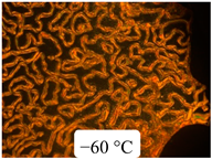 Crystals 13 01064 i030