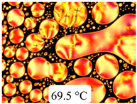 Crystals 13 01064 i033