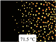 Crystals 13 01064 i035