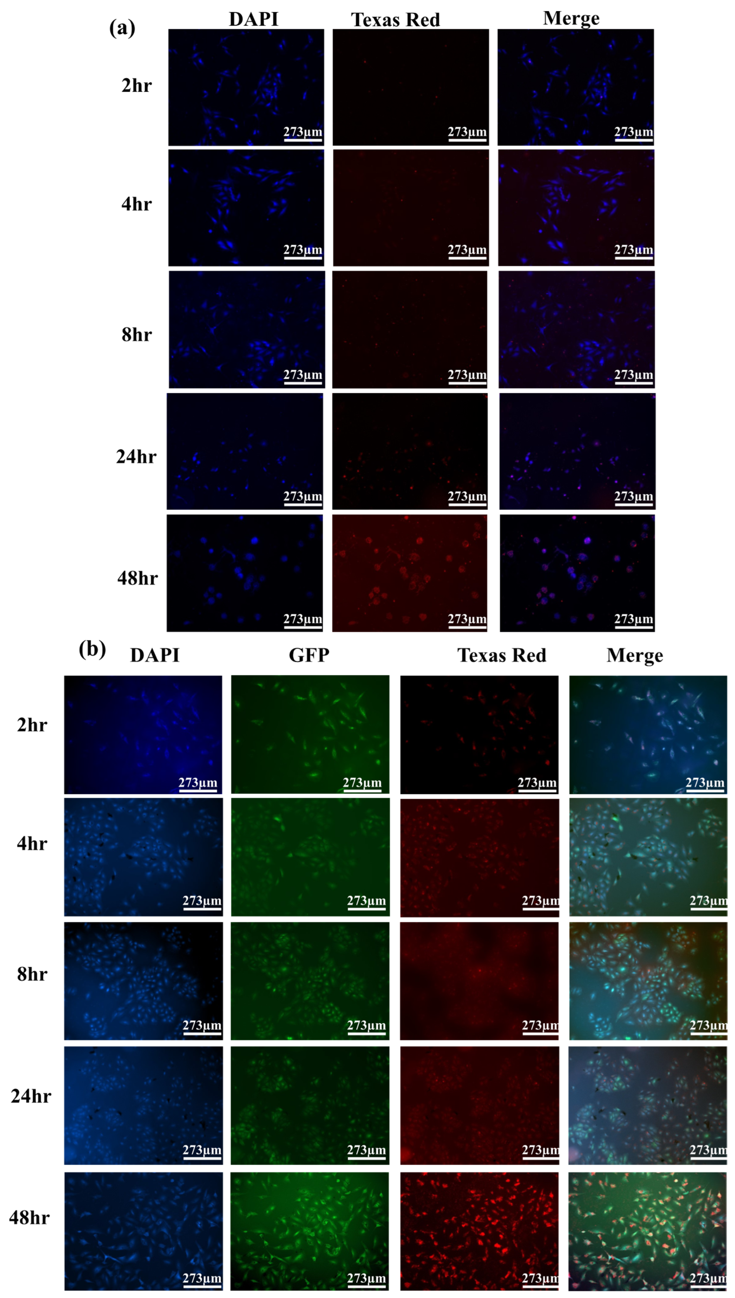 Crystals 13 01067 g011