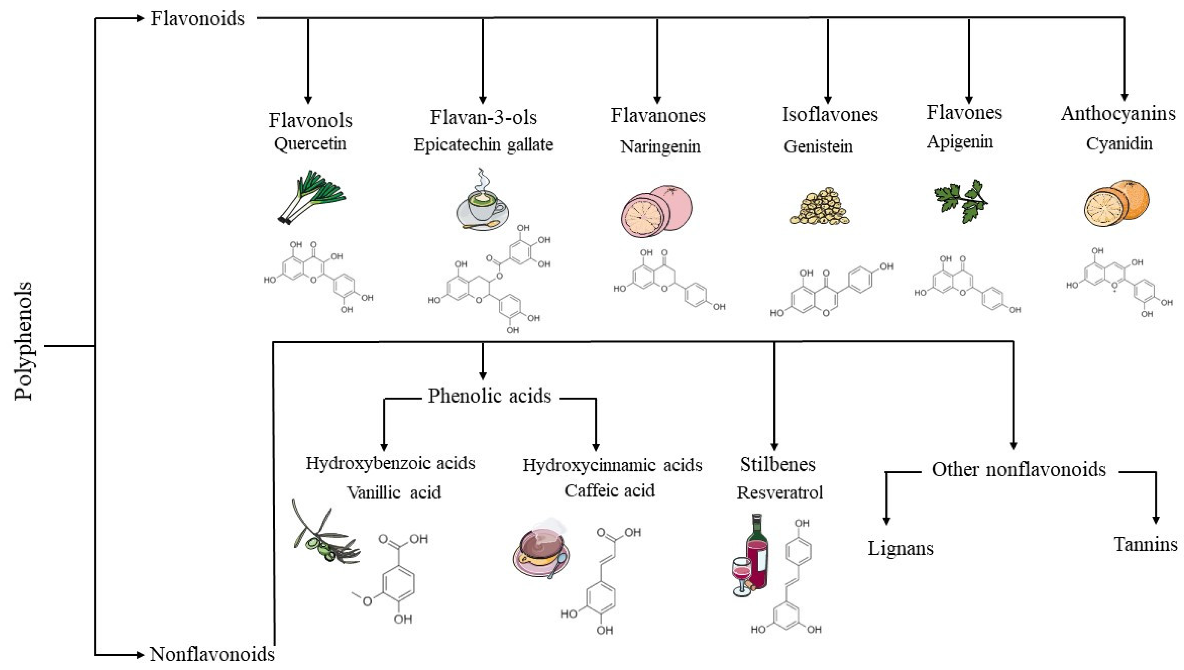 Crystals 13 01070 g001