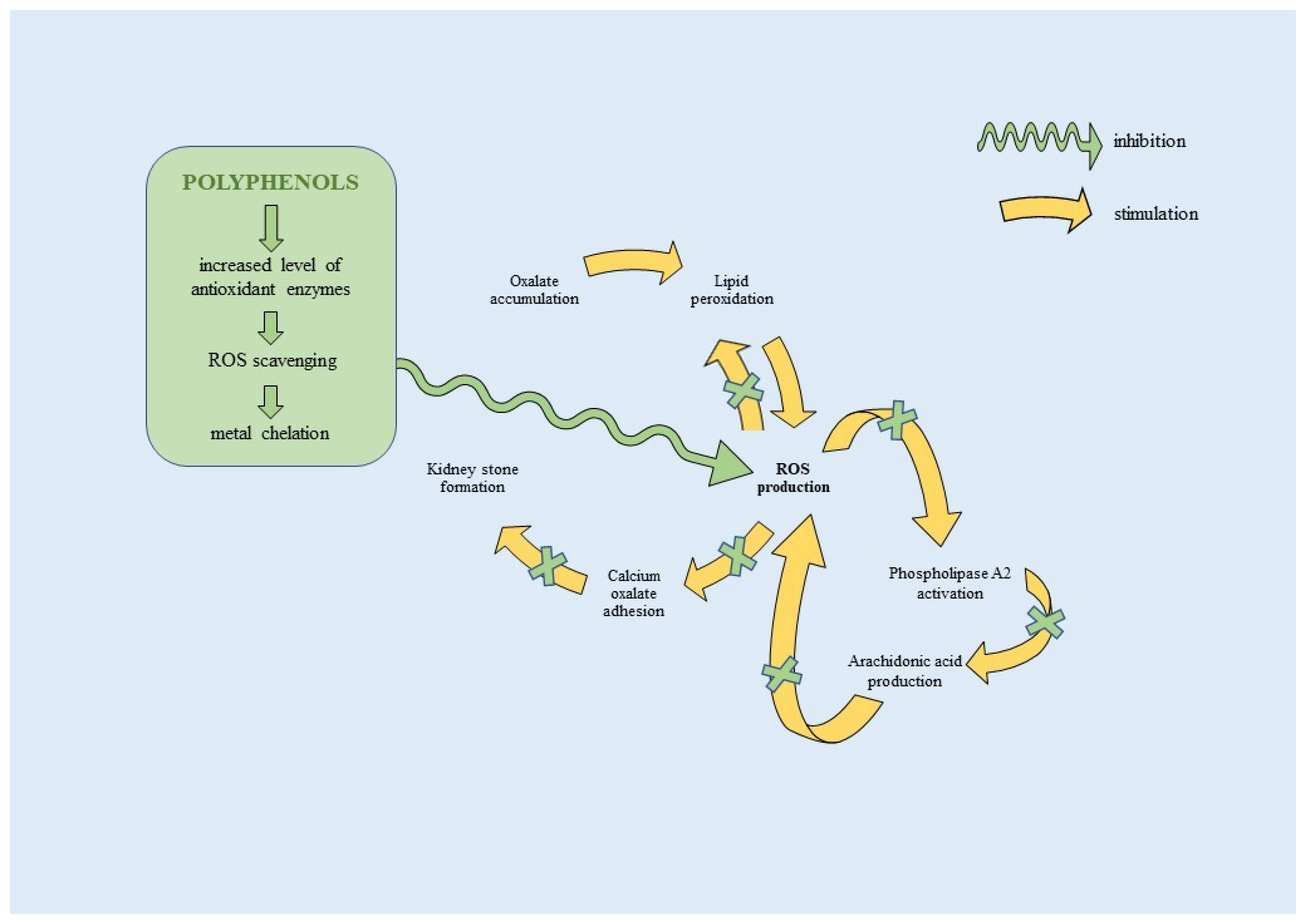 Crystals 13 01070 g002