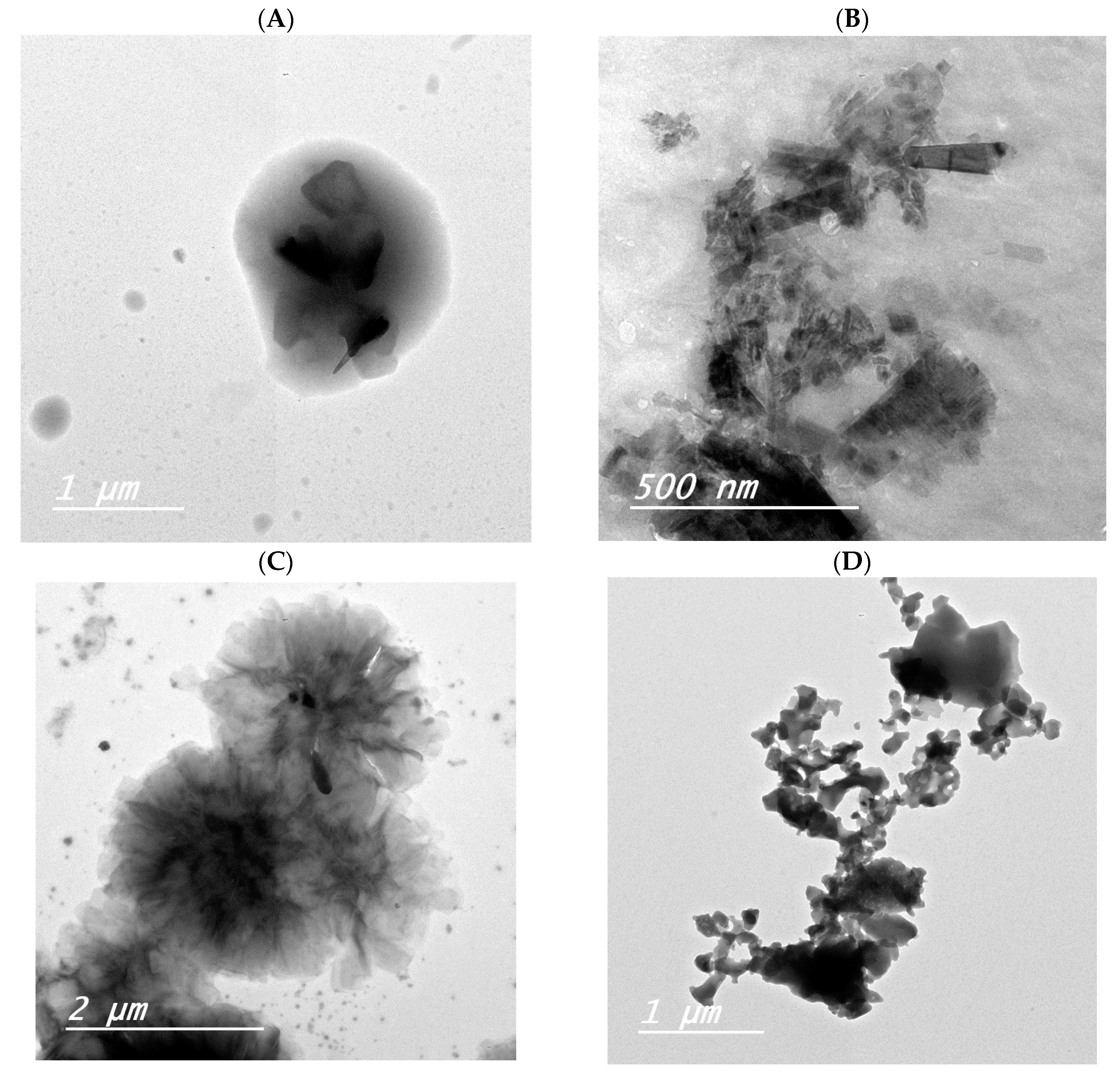 Crystals 13 01078 g009a