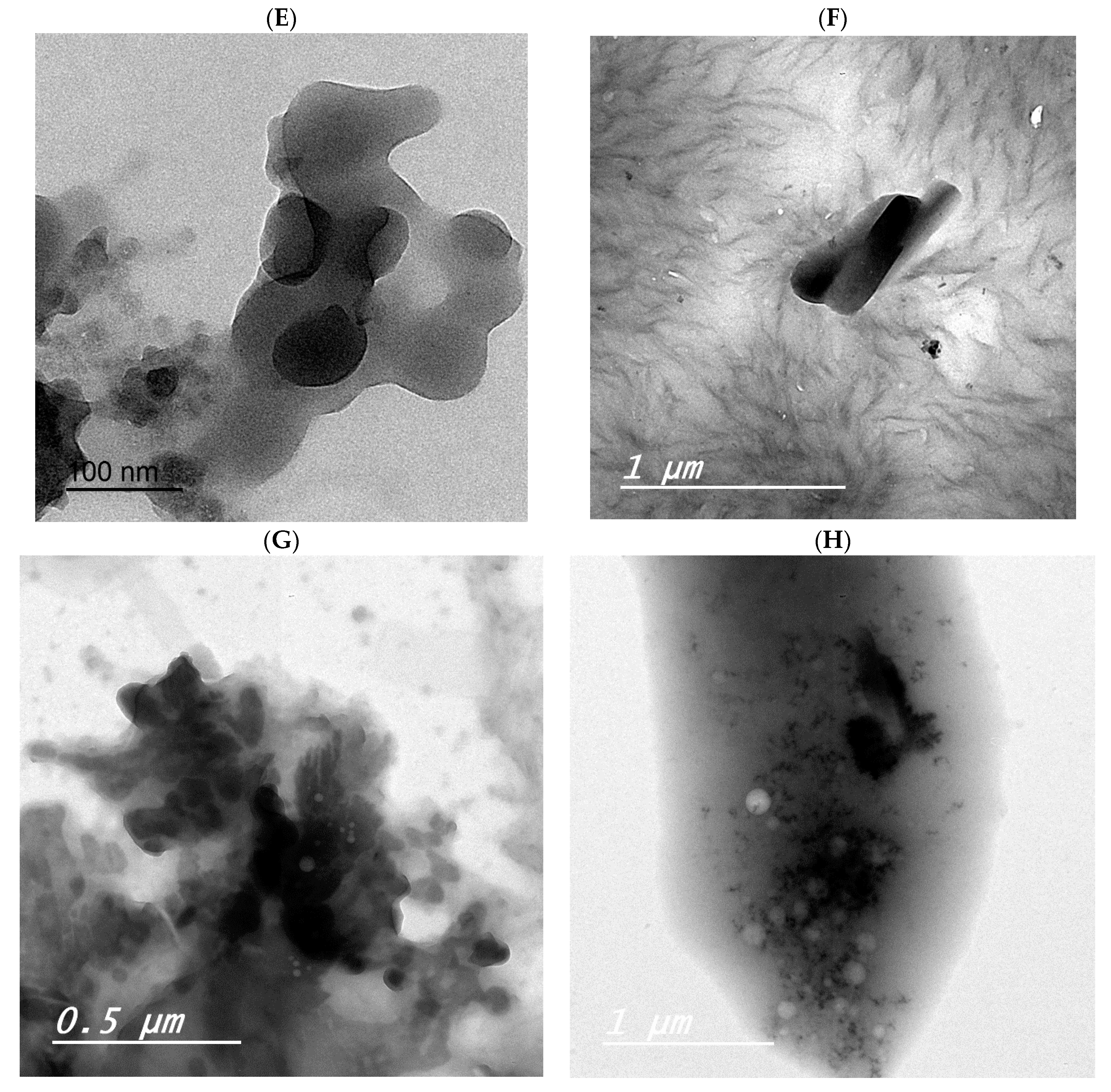 Crystals 13 01078 g009b