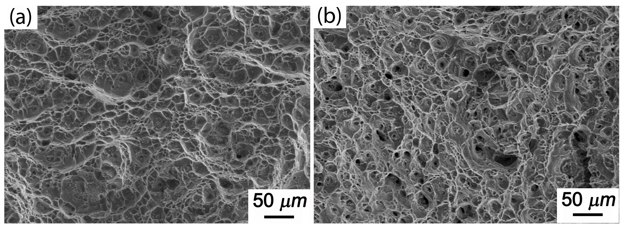 Crystals 13 01096 g009