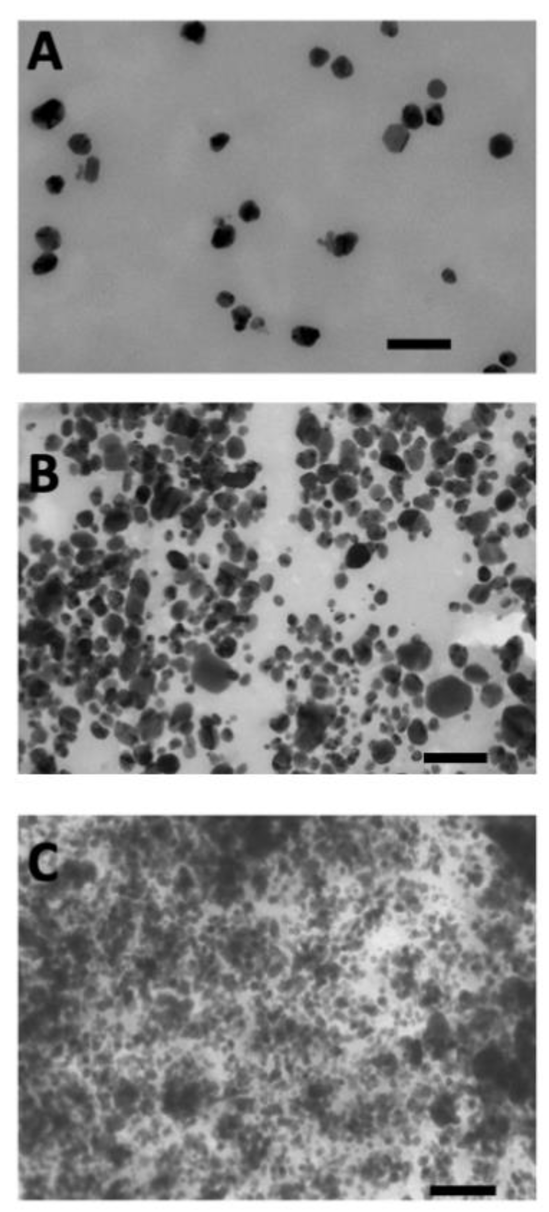 Crystals 13 01105 g004