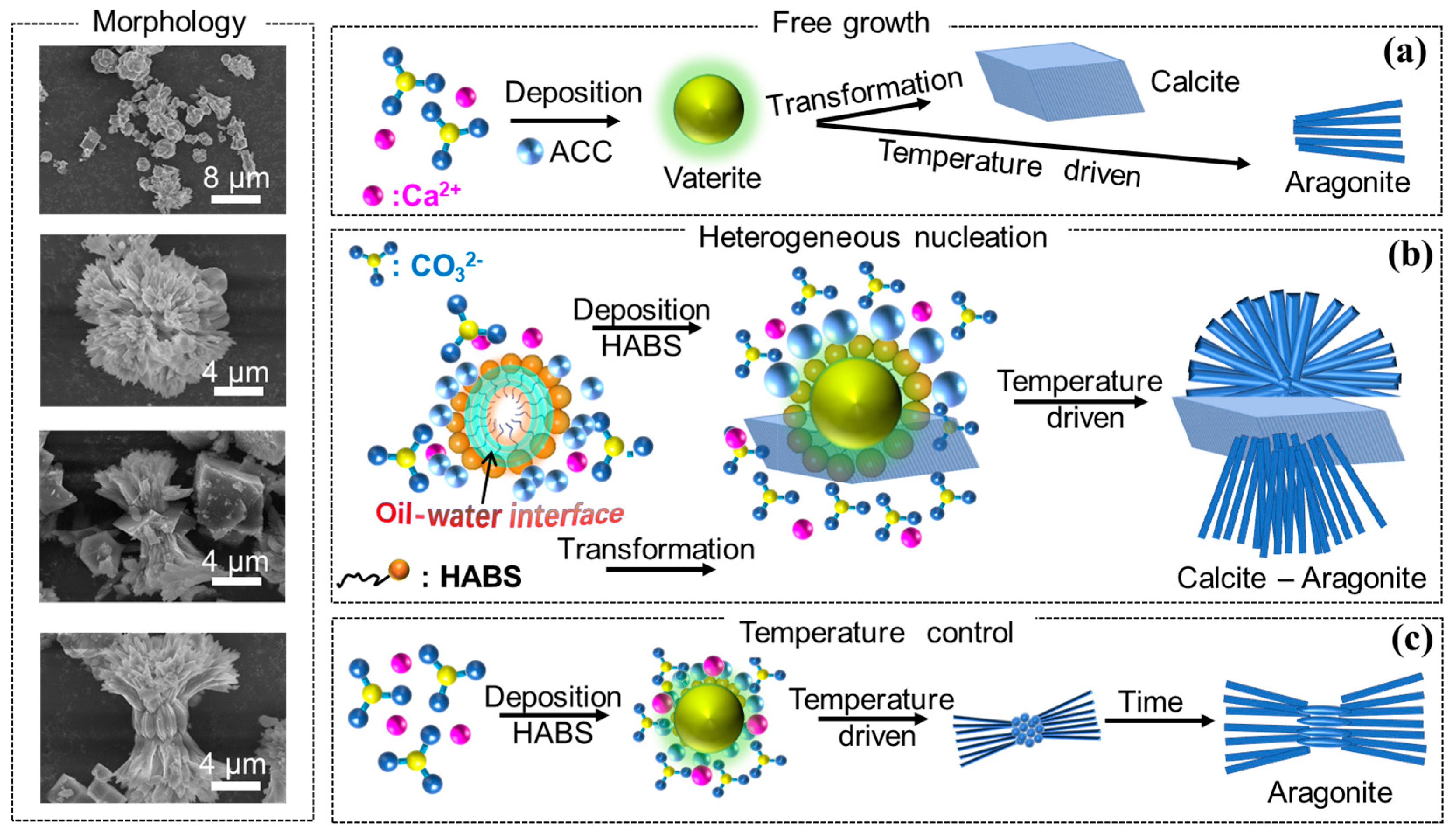 Crystals 13 01107 g006