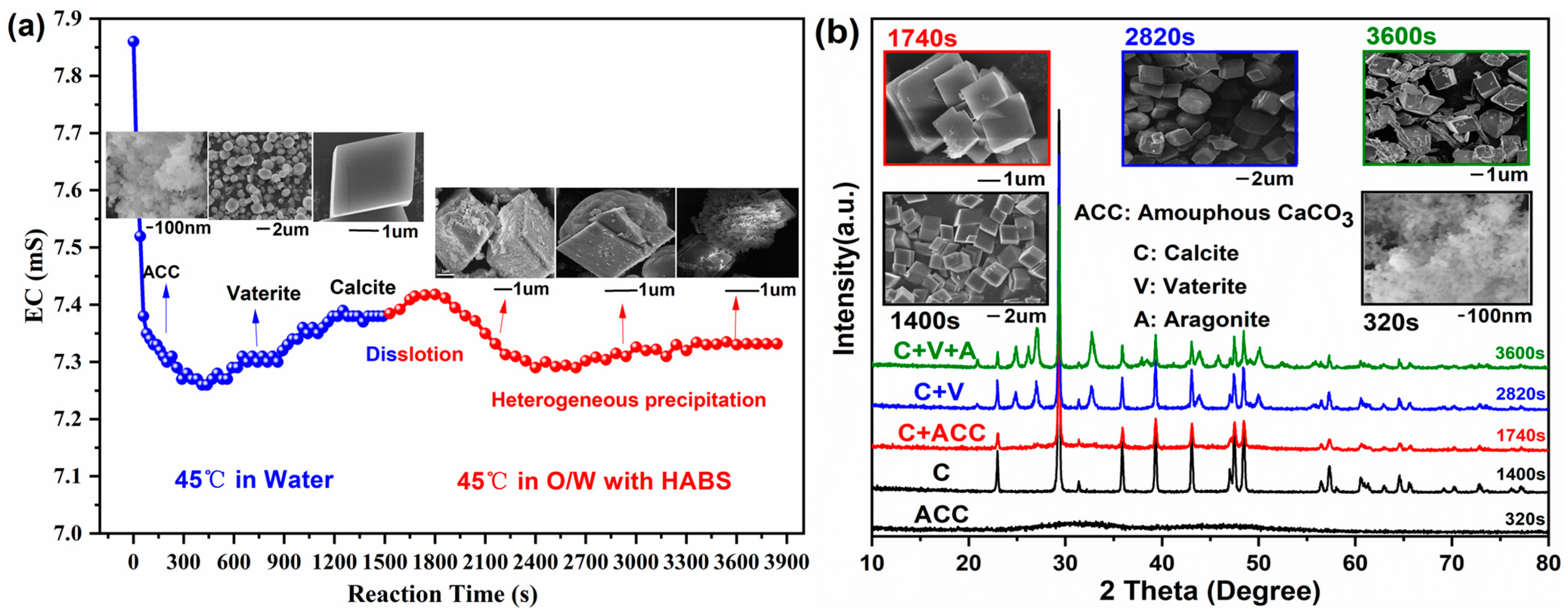 Crystals 13 01107 g007