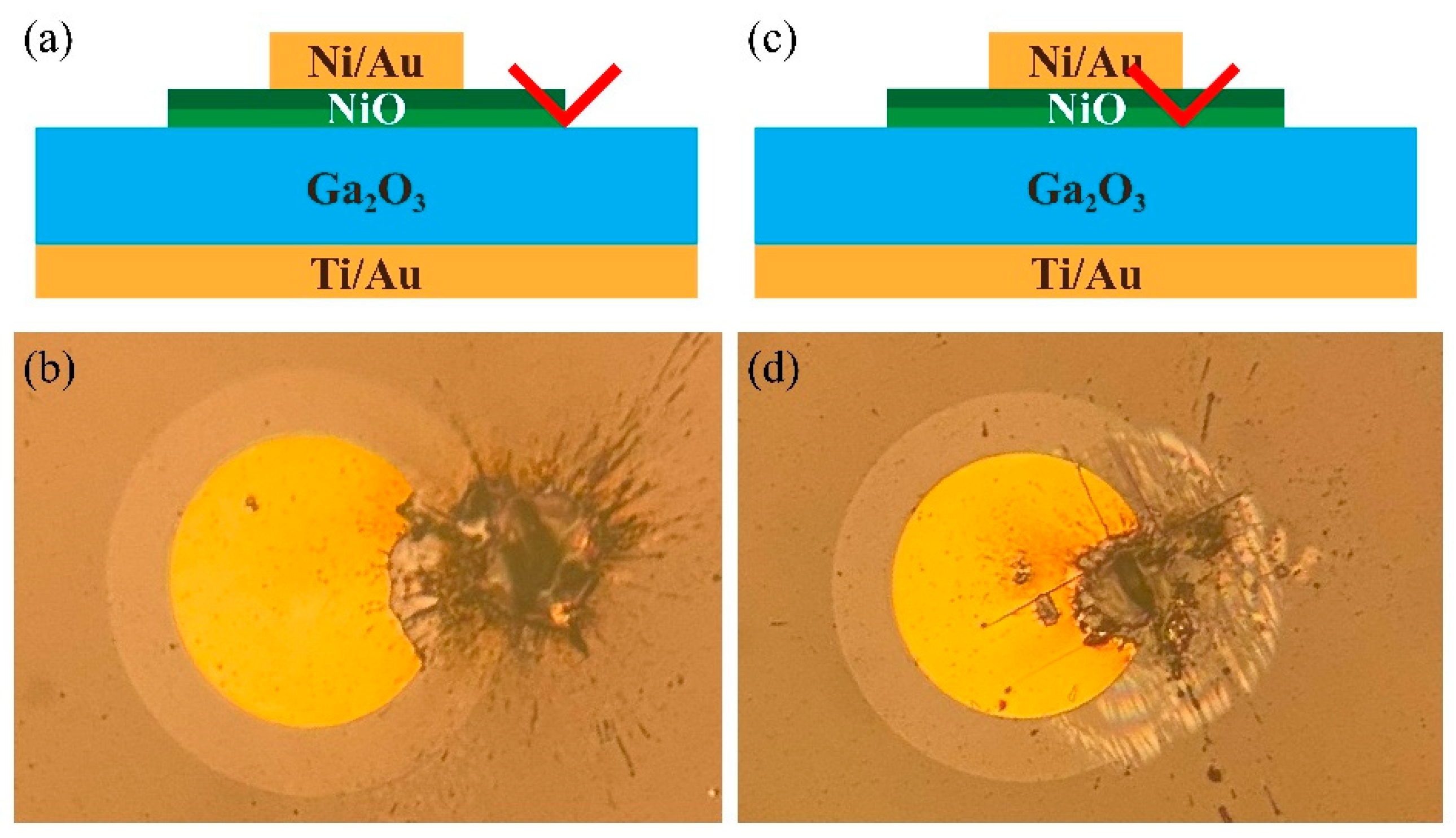 Crystals 13 01124 g001