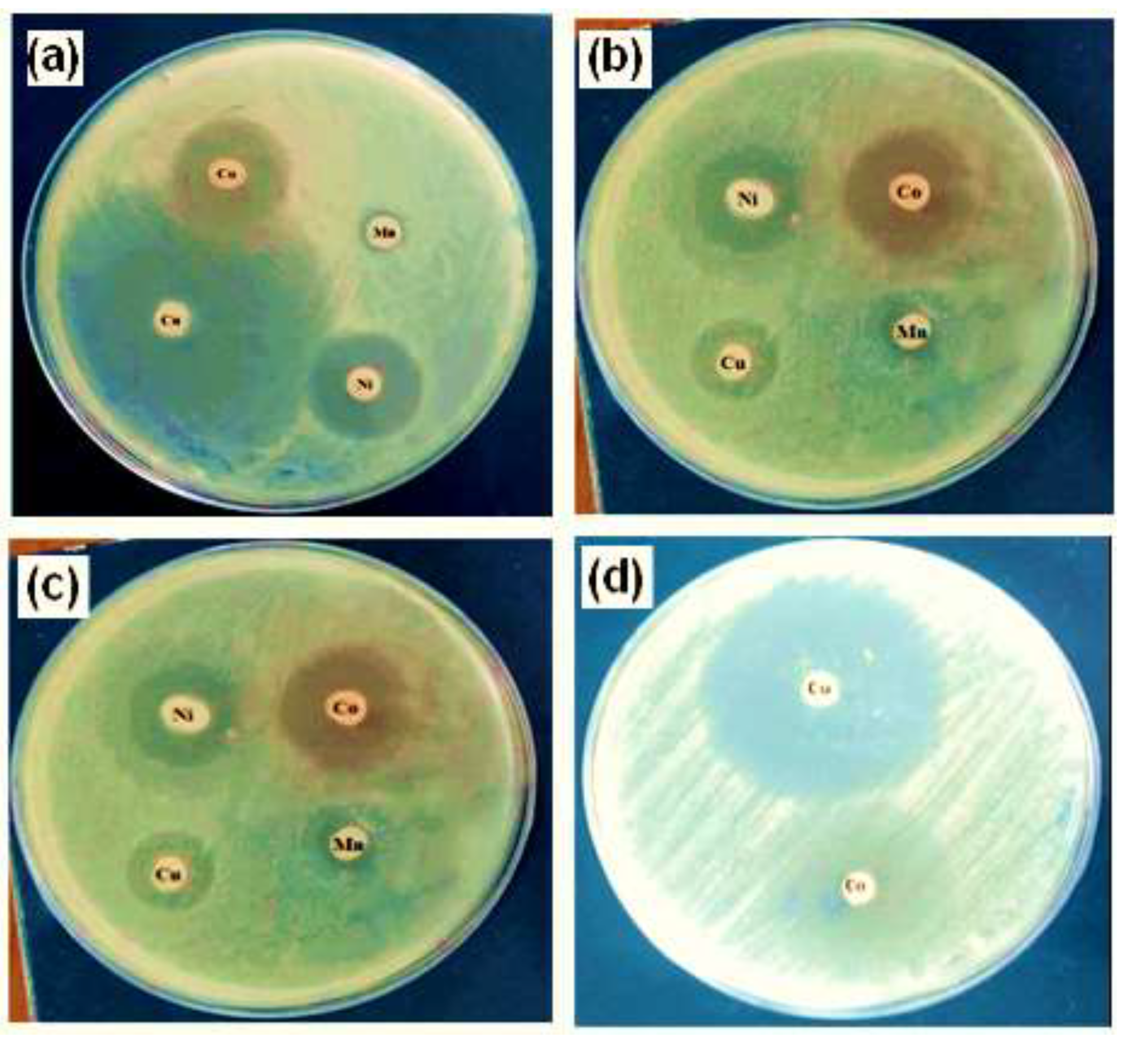 Crystals 13 01148 g008