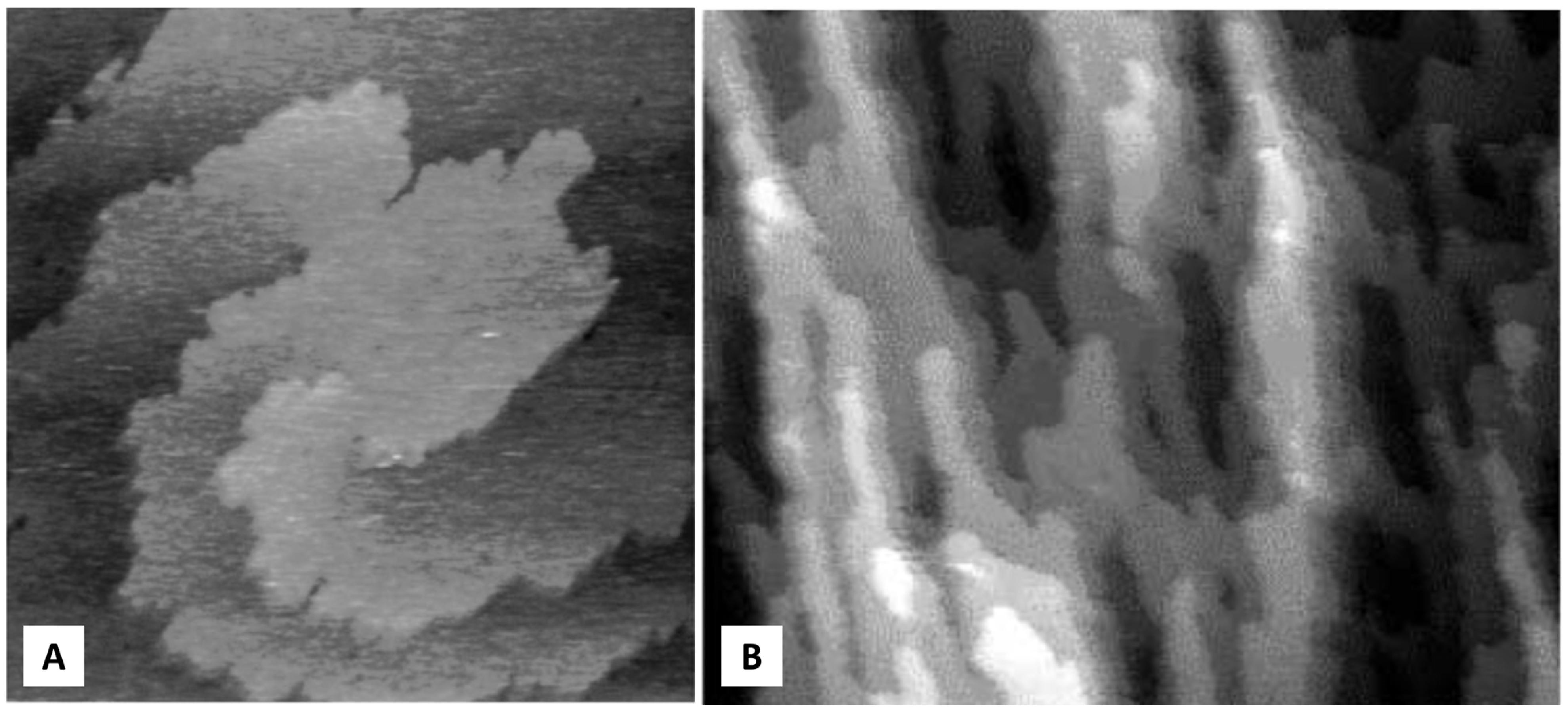 Crystals 13 01149 g001 Crystals 13 01149 g001