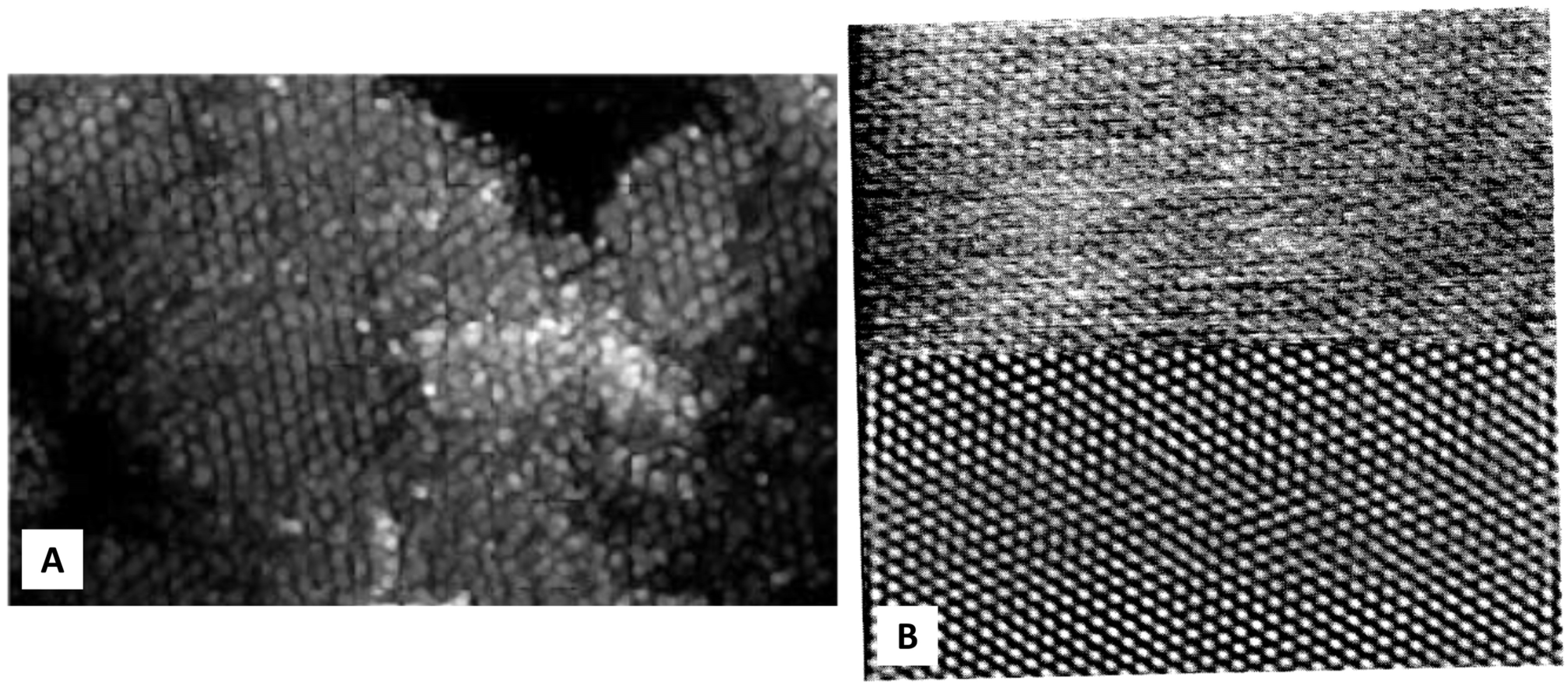 Crystals 13 01149 g002 Crystals 13 01149 g002