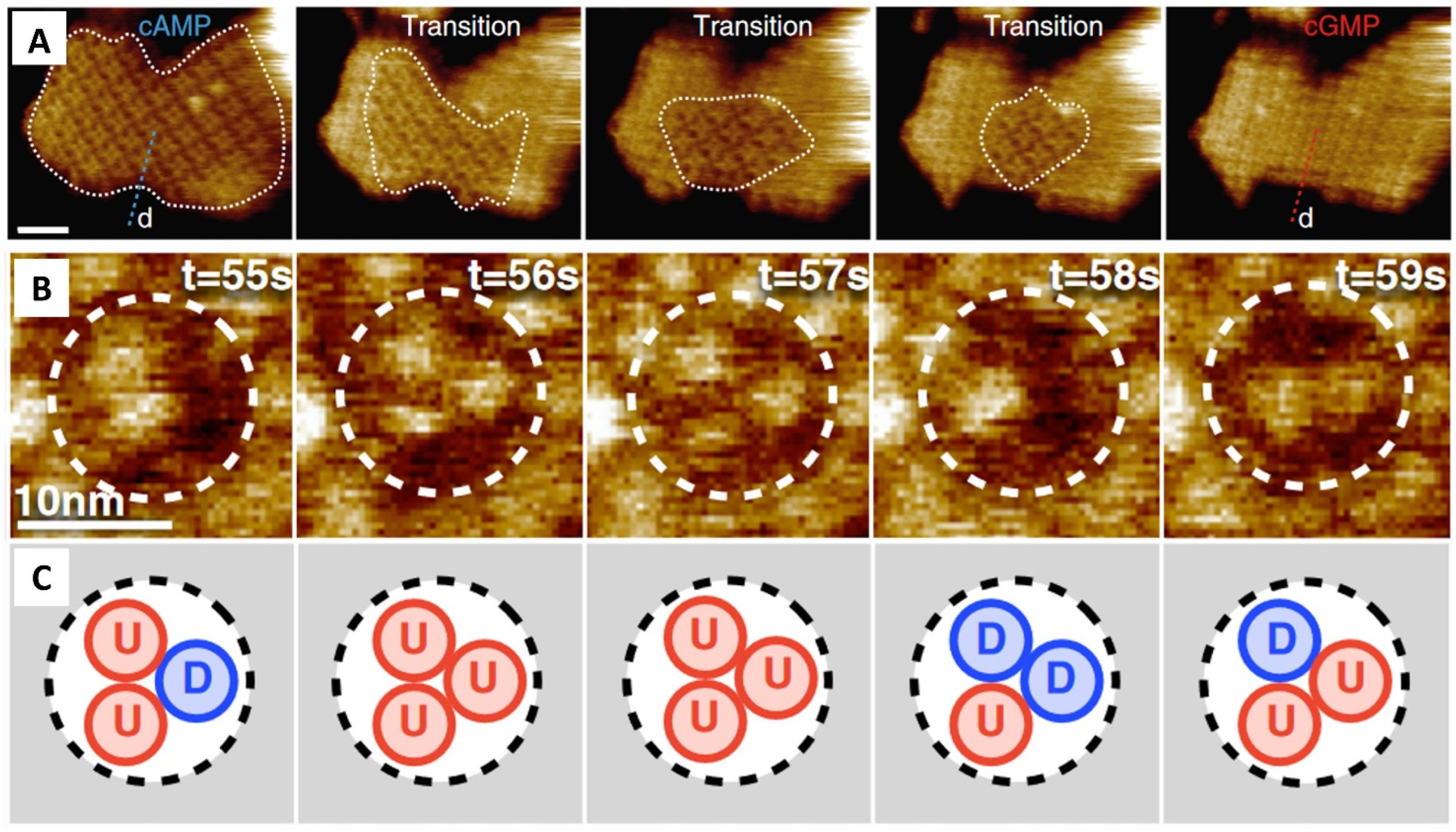 Crystals 13 01149 g007 Crystals 13 01149 g007