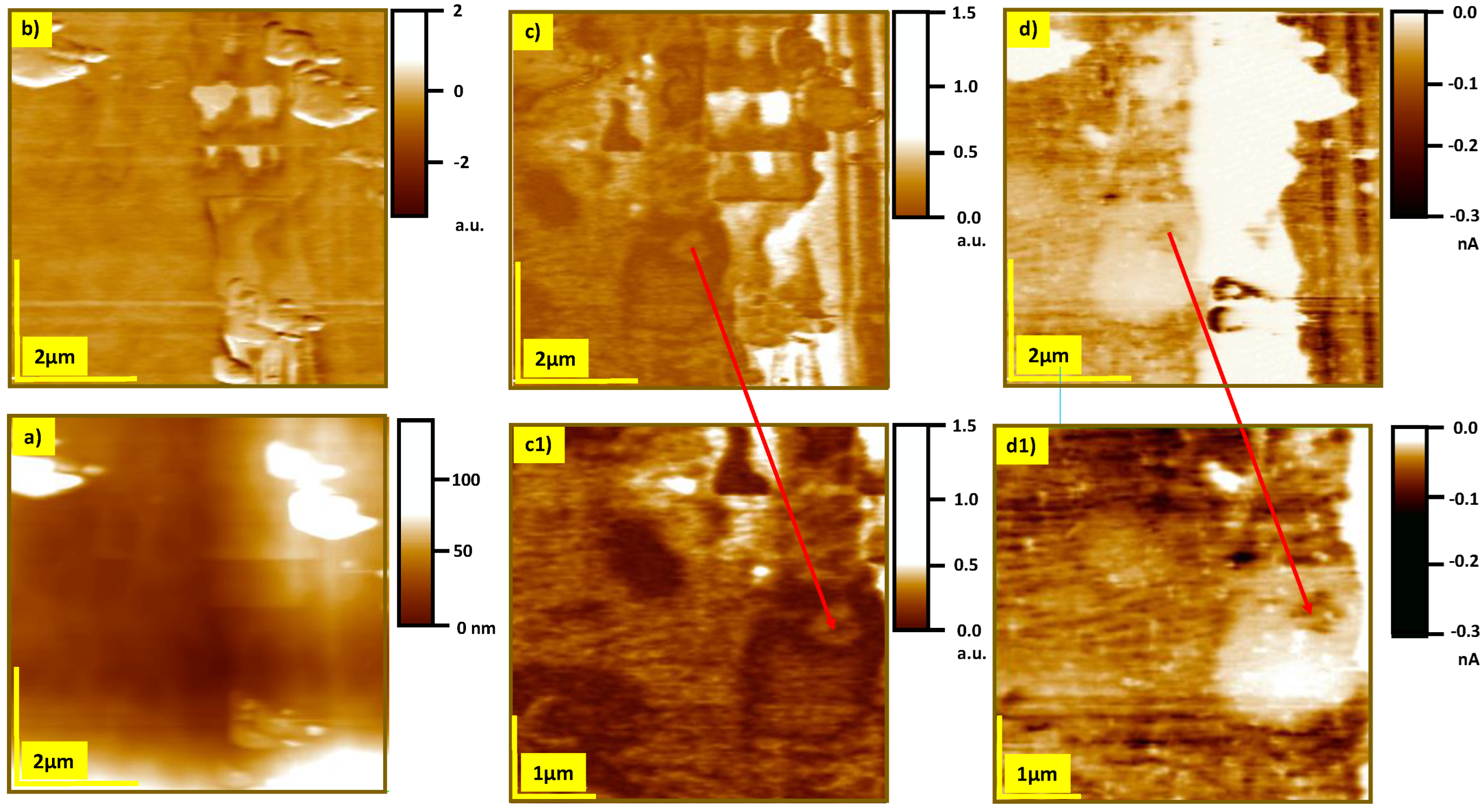 Crystals 13 01155 g005