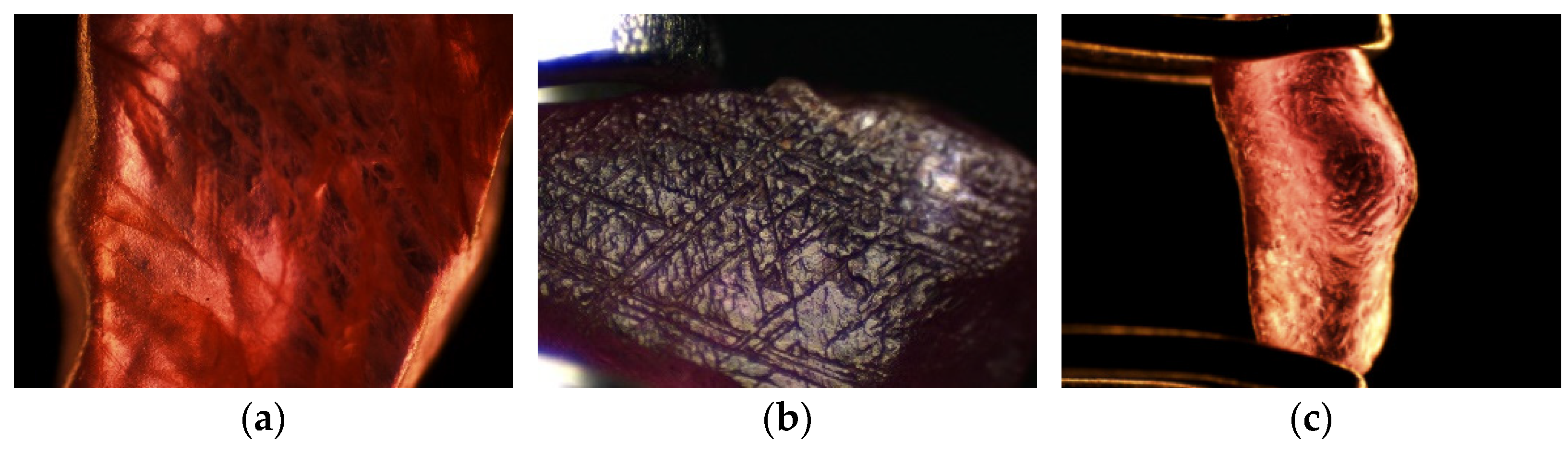 Crystals 13 01179 g003