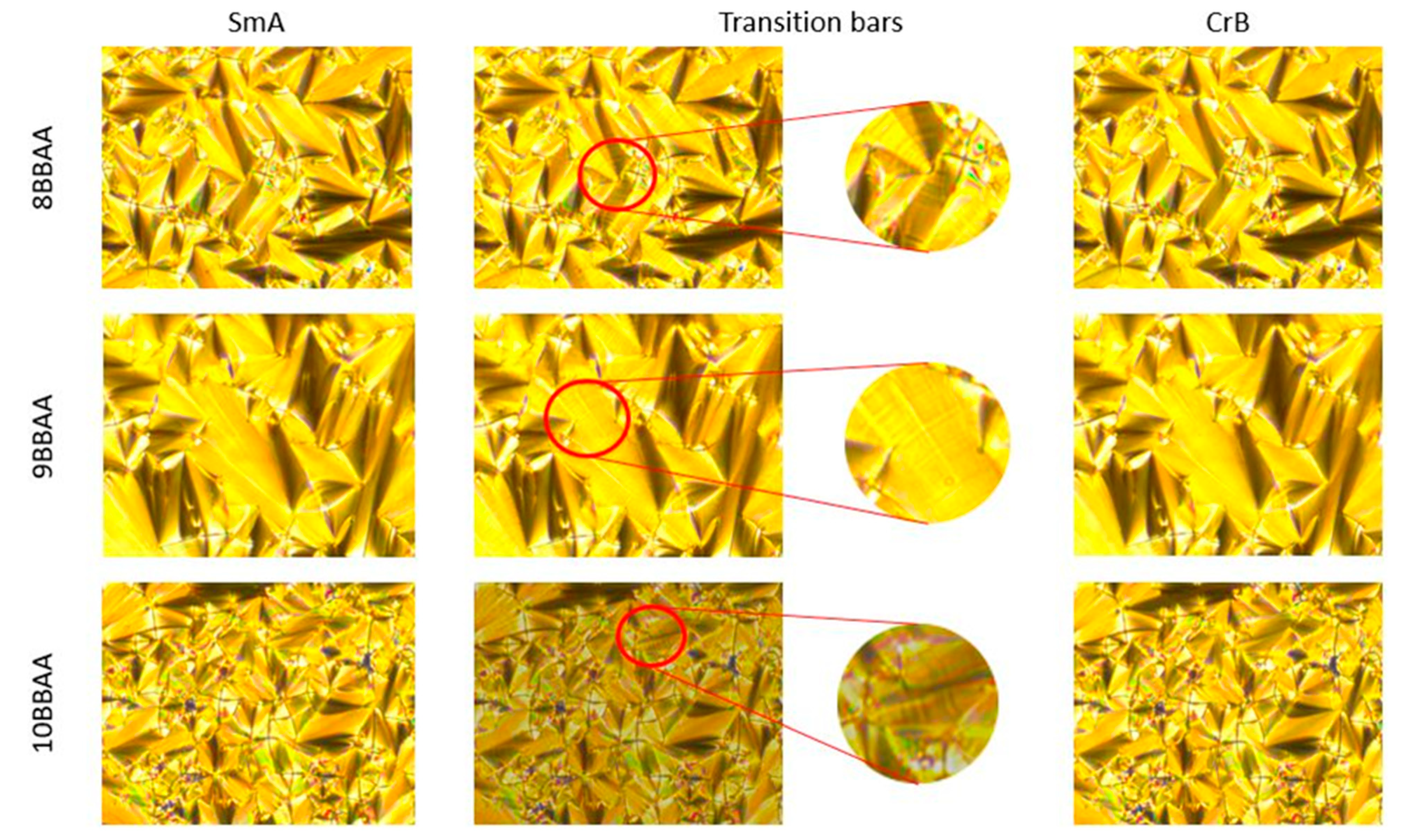 Crystals 13 01187 g001