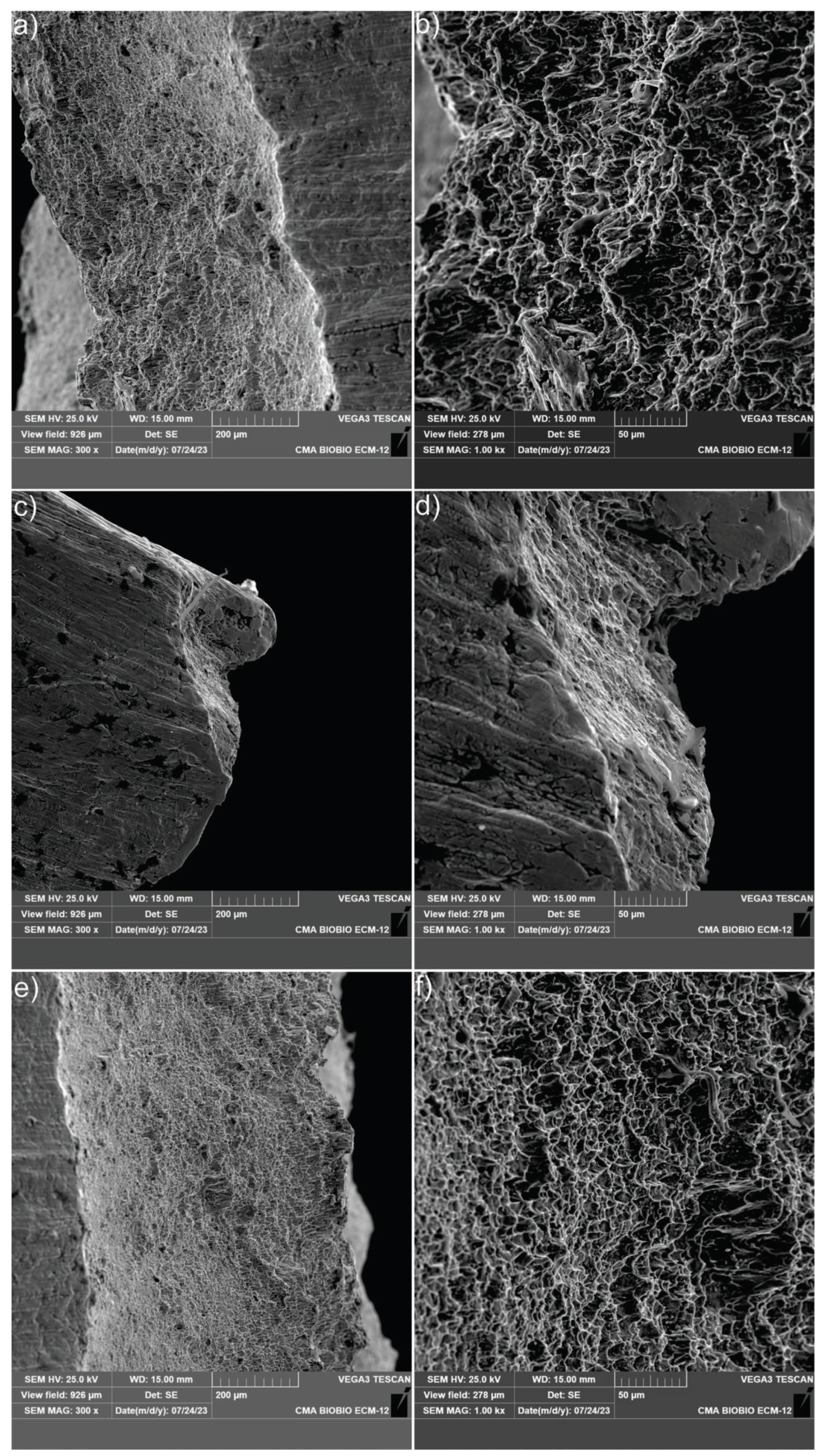 Crystals 13 01192 g018