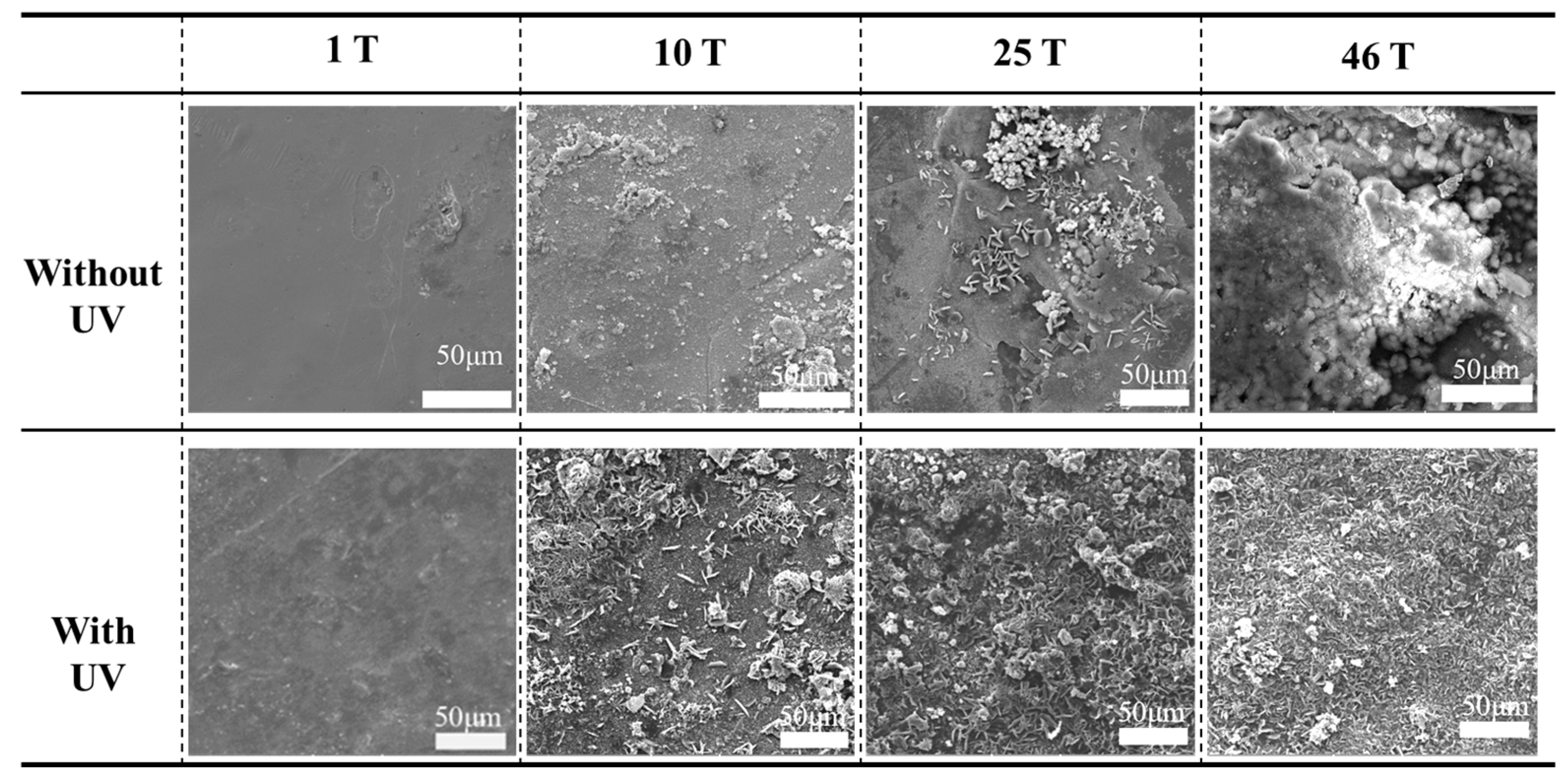 Crystals 13 01195 g008 Crystals 13 01195 g008