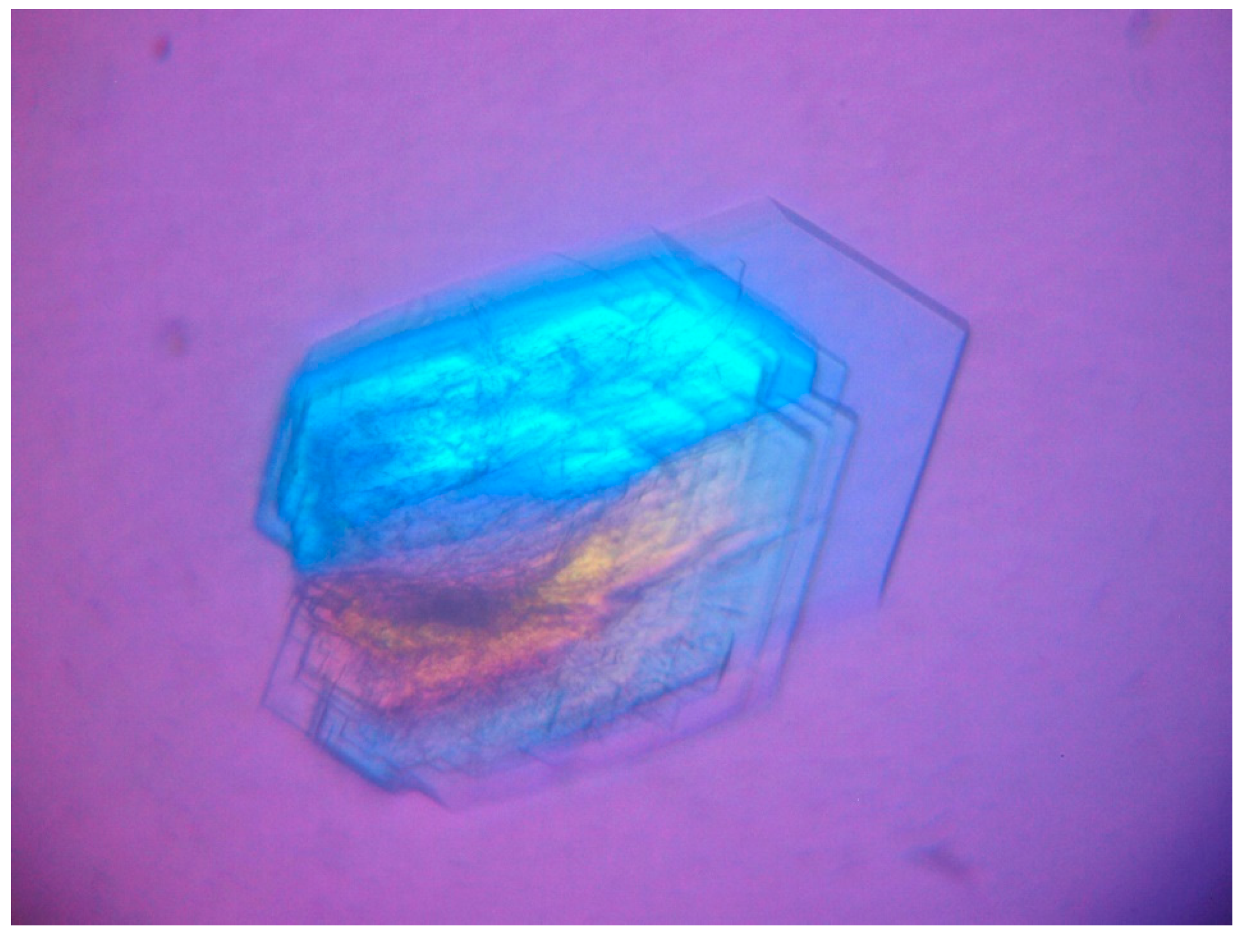 Crystals 13 01197 g001