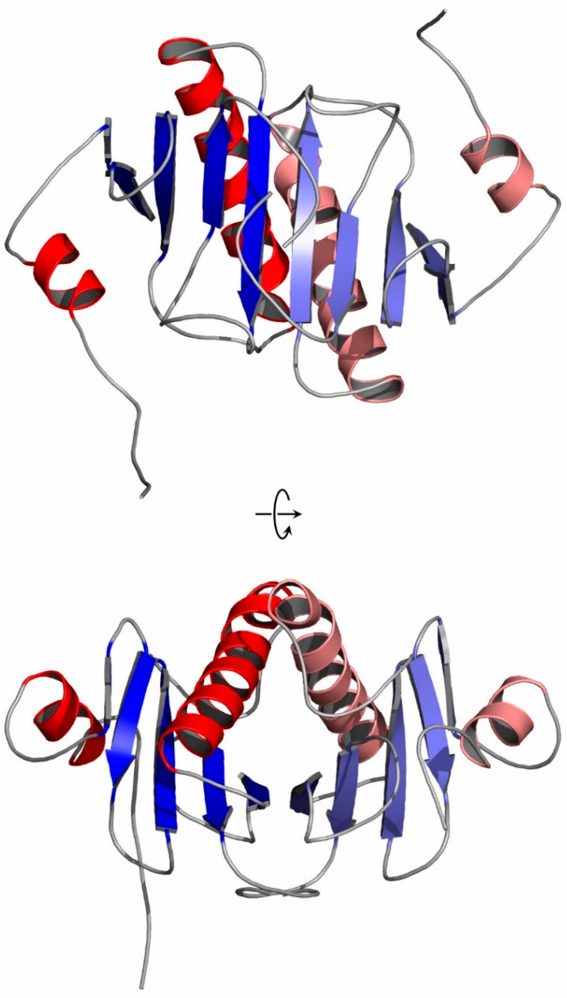 Crystals 13 01197 g002