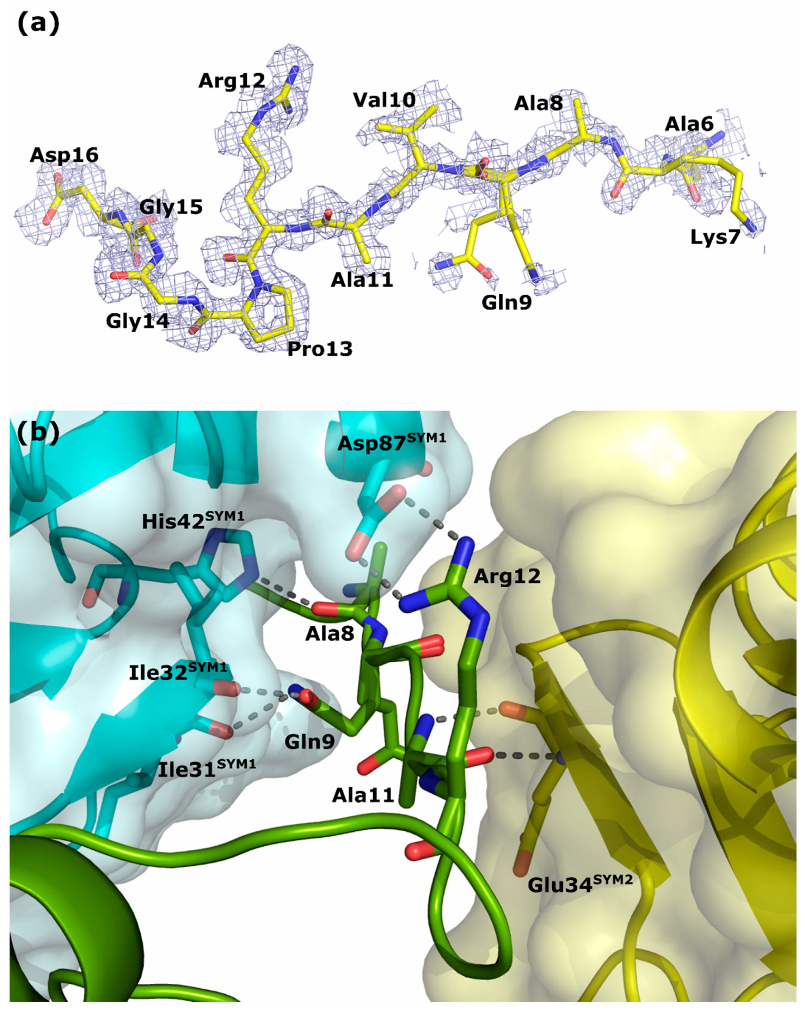 Crystals 13 01197 g005