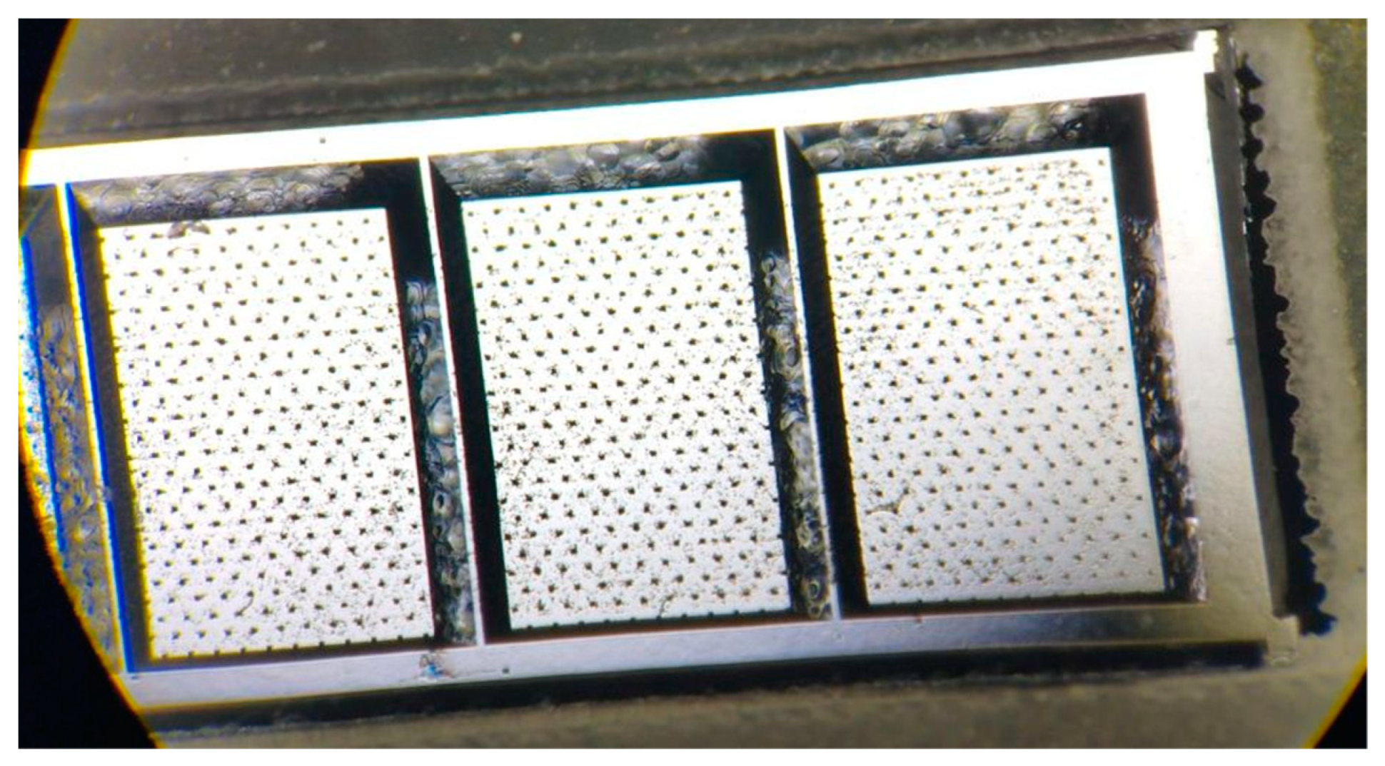 Crystals 13 01225 g001