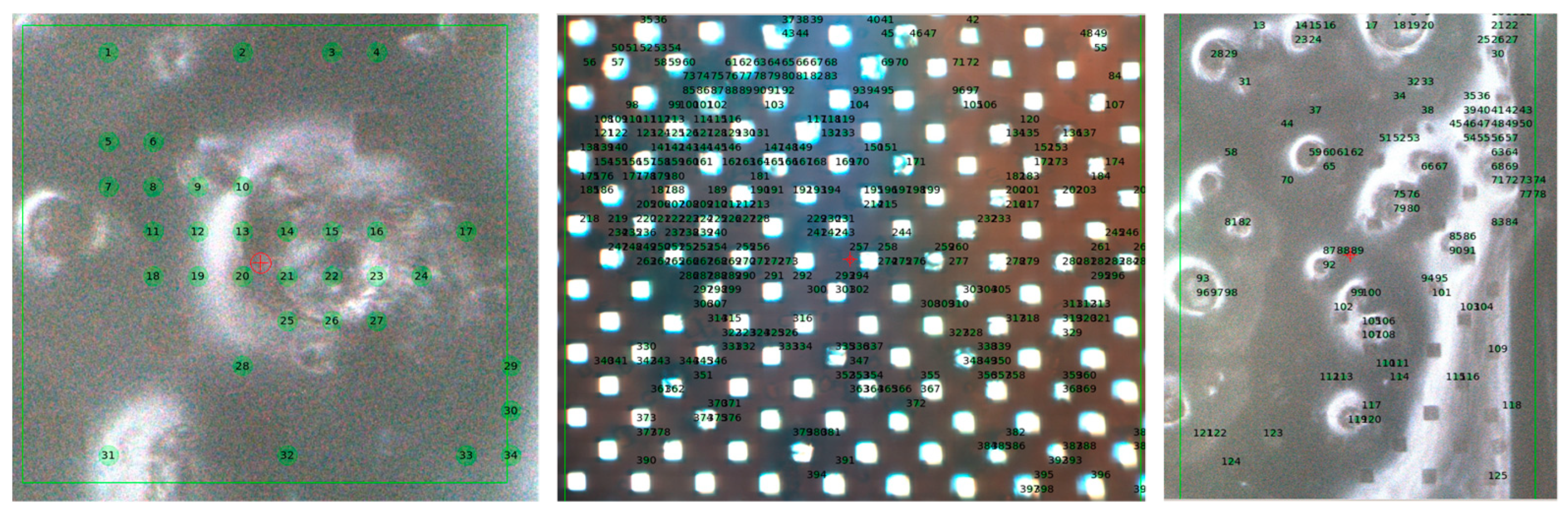 Crystals 13 01225 g004