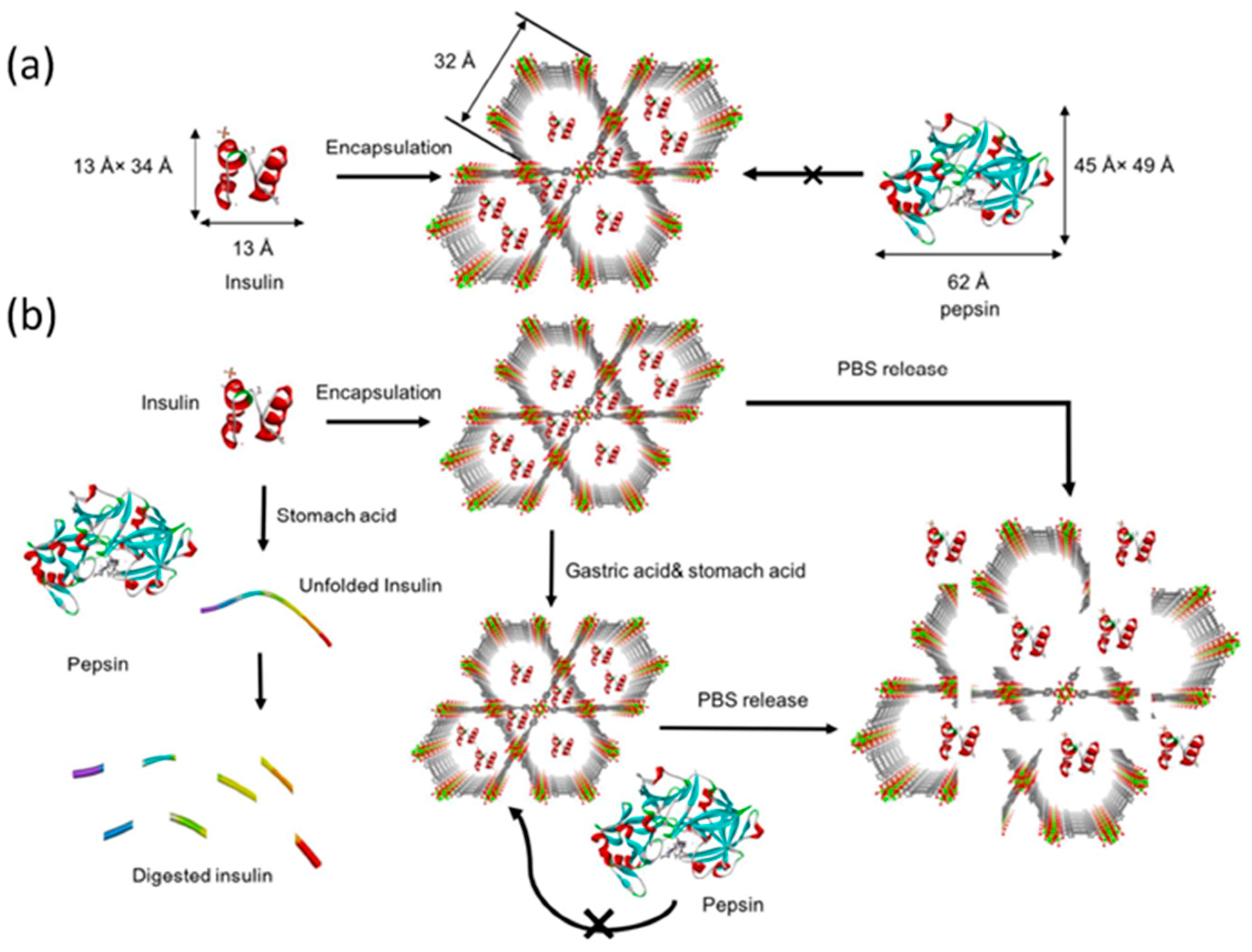 Crystals 13 01229 g005