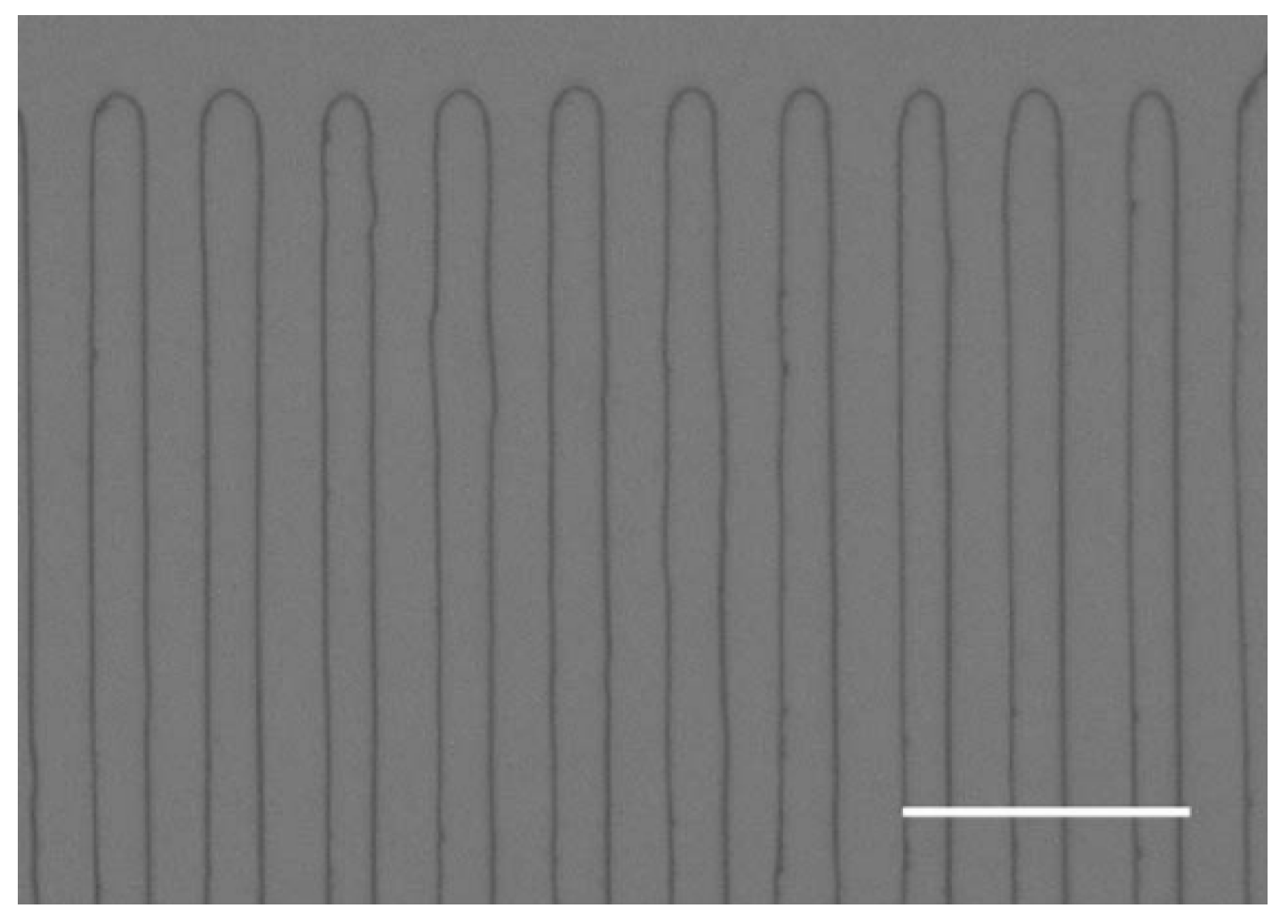 Crystals 13 01233 g009