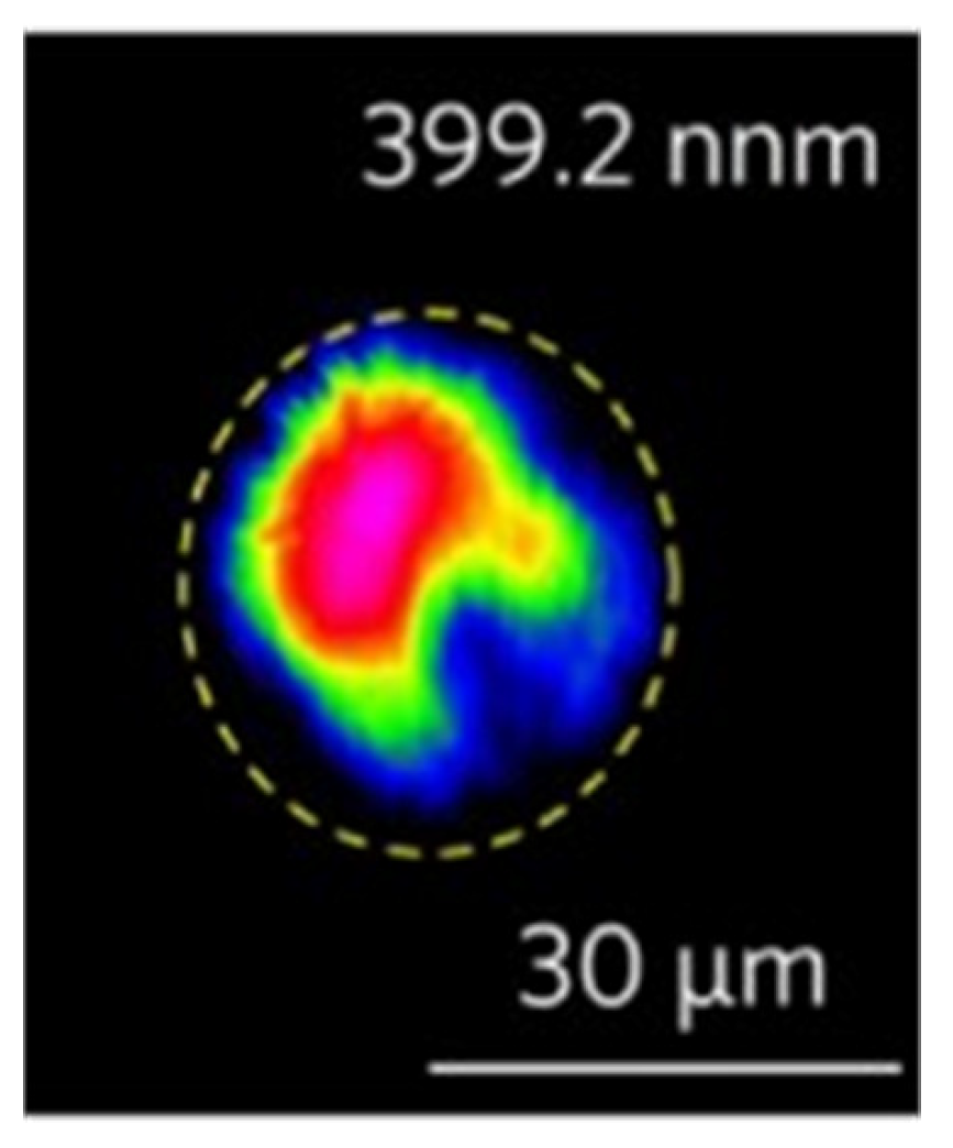 Crystals 13 01233 g011