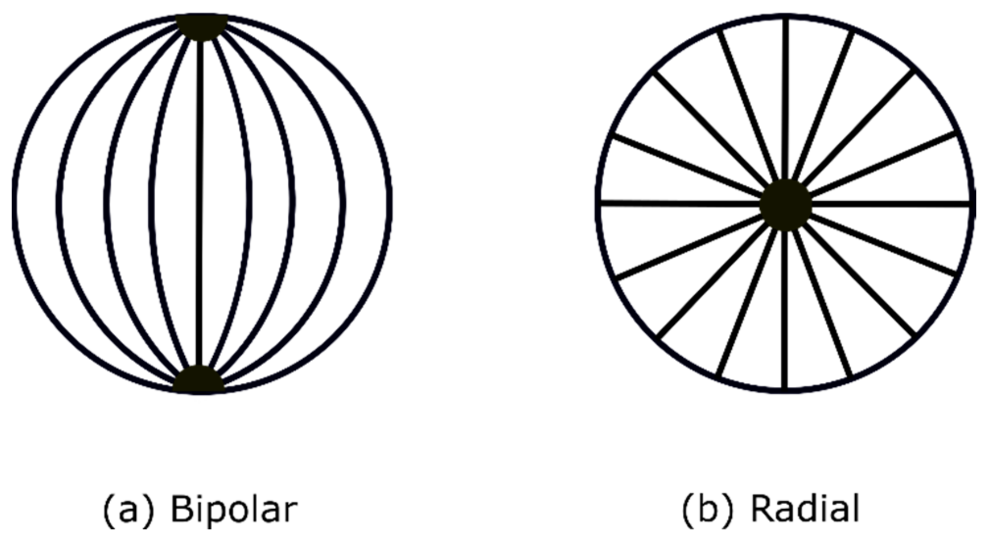Crystals 13 01237 g001