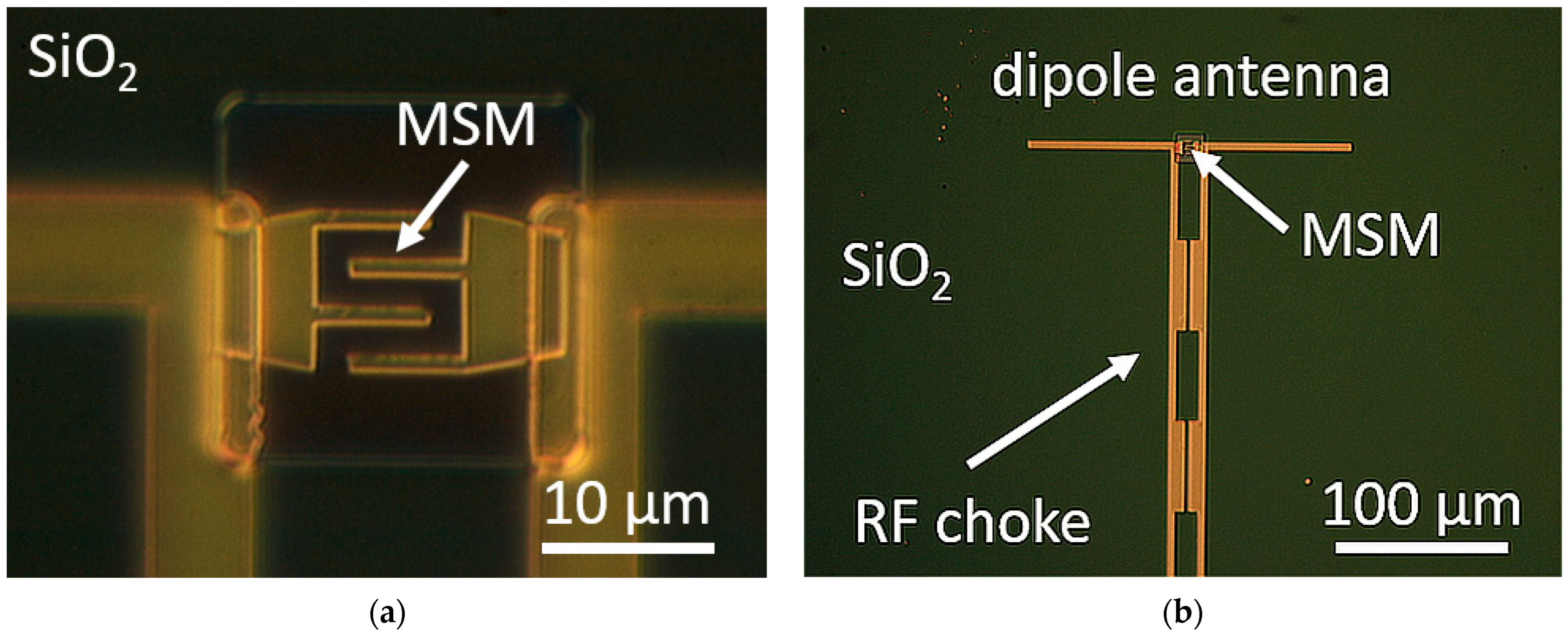 Crystals 13 01267 g002