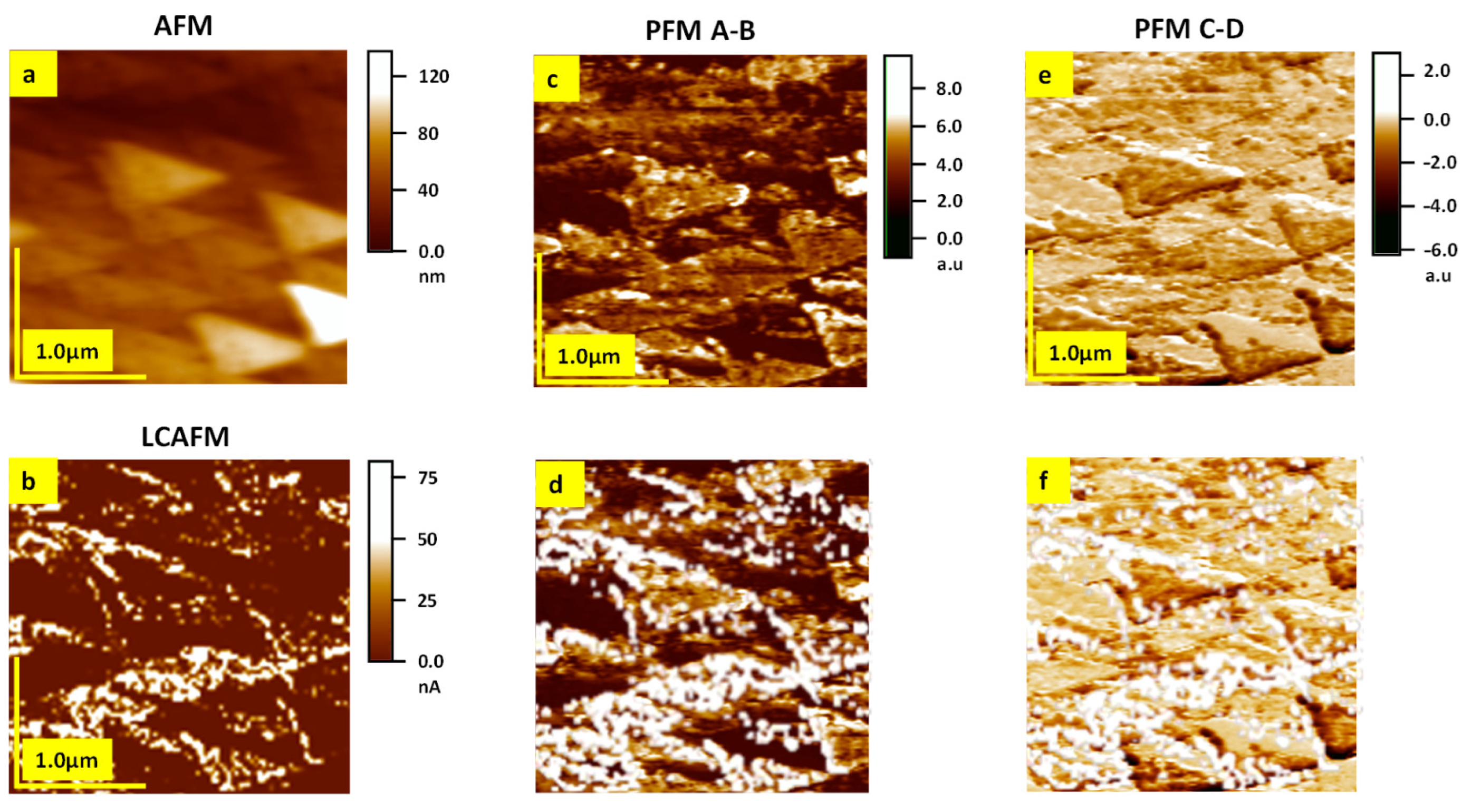 Crystals 13 01278 g033