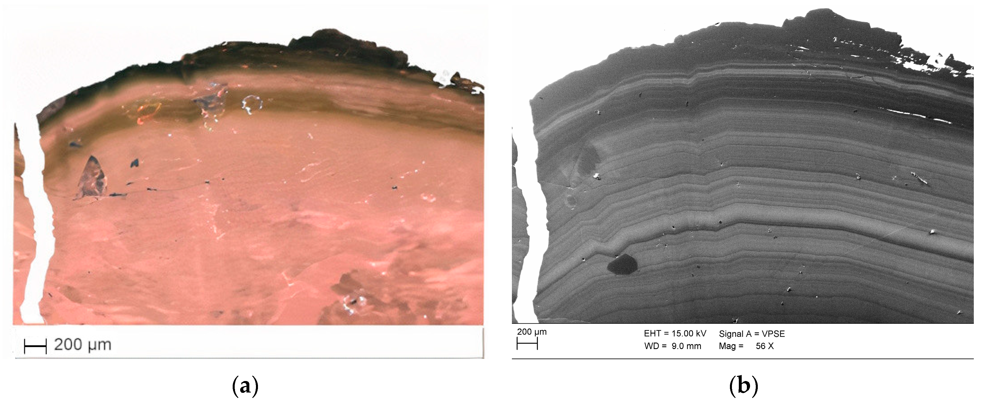 Crystals 13 01290 g004