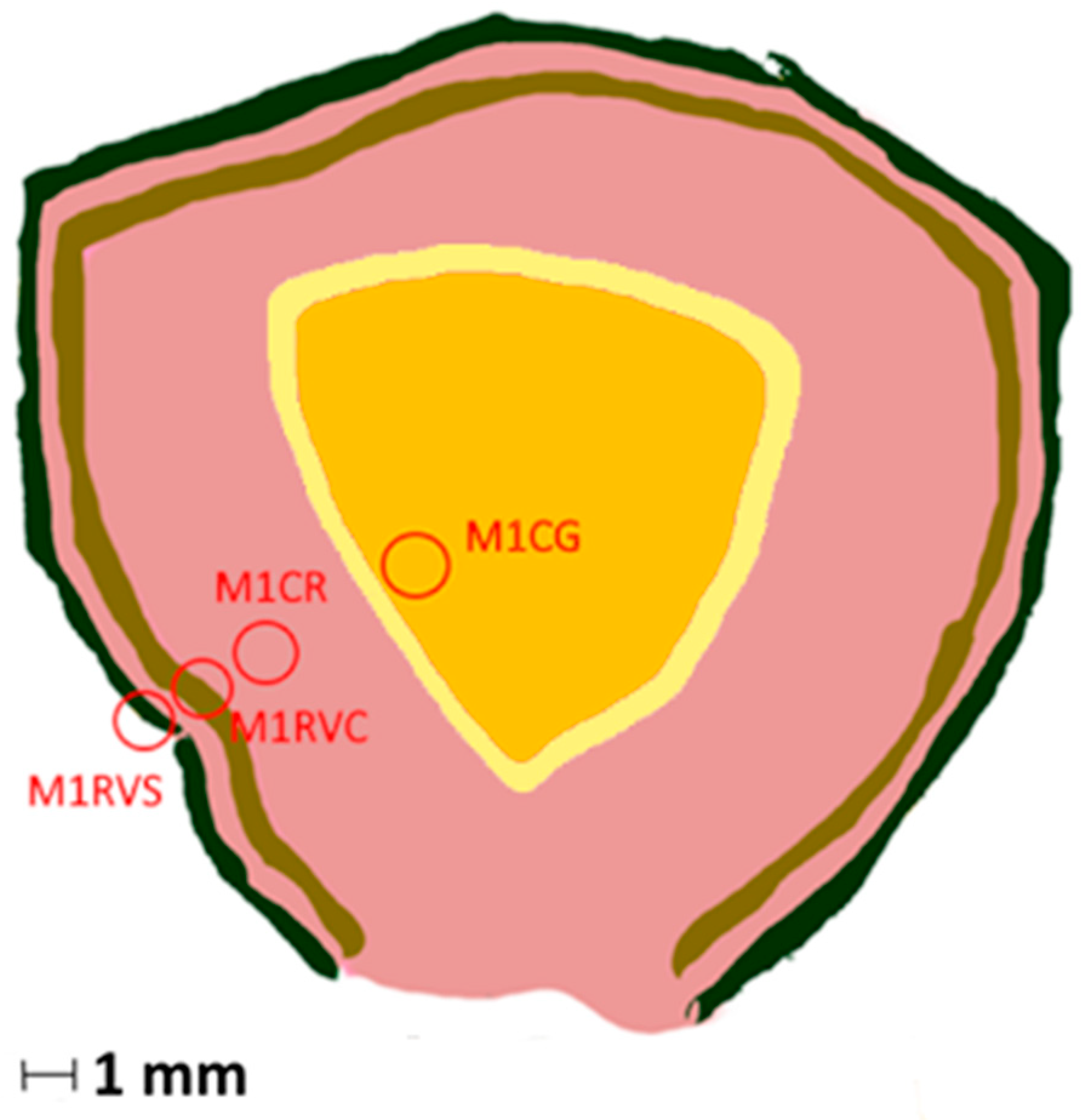 Crystals 13 01290 g009