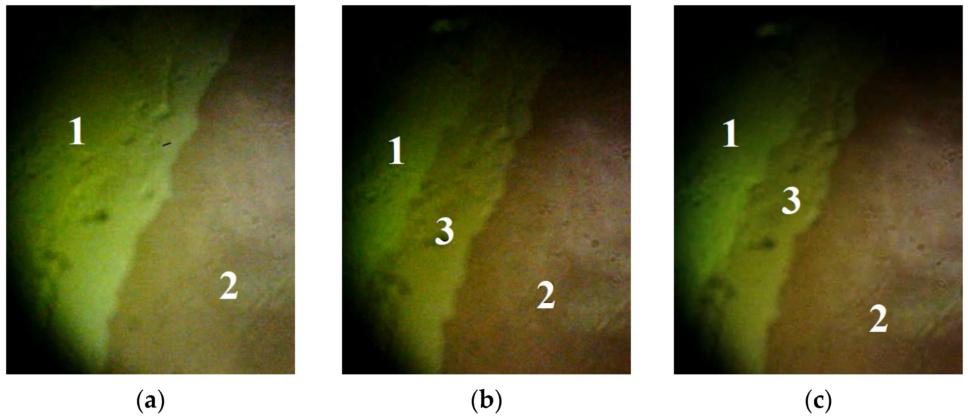 Crystals 13 01297 g003a