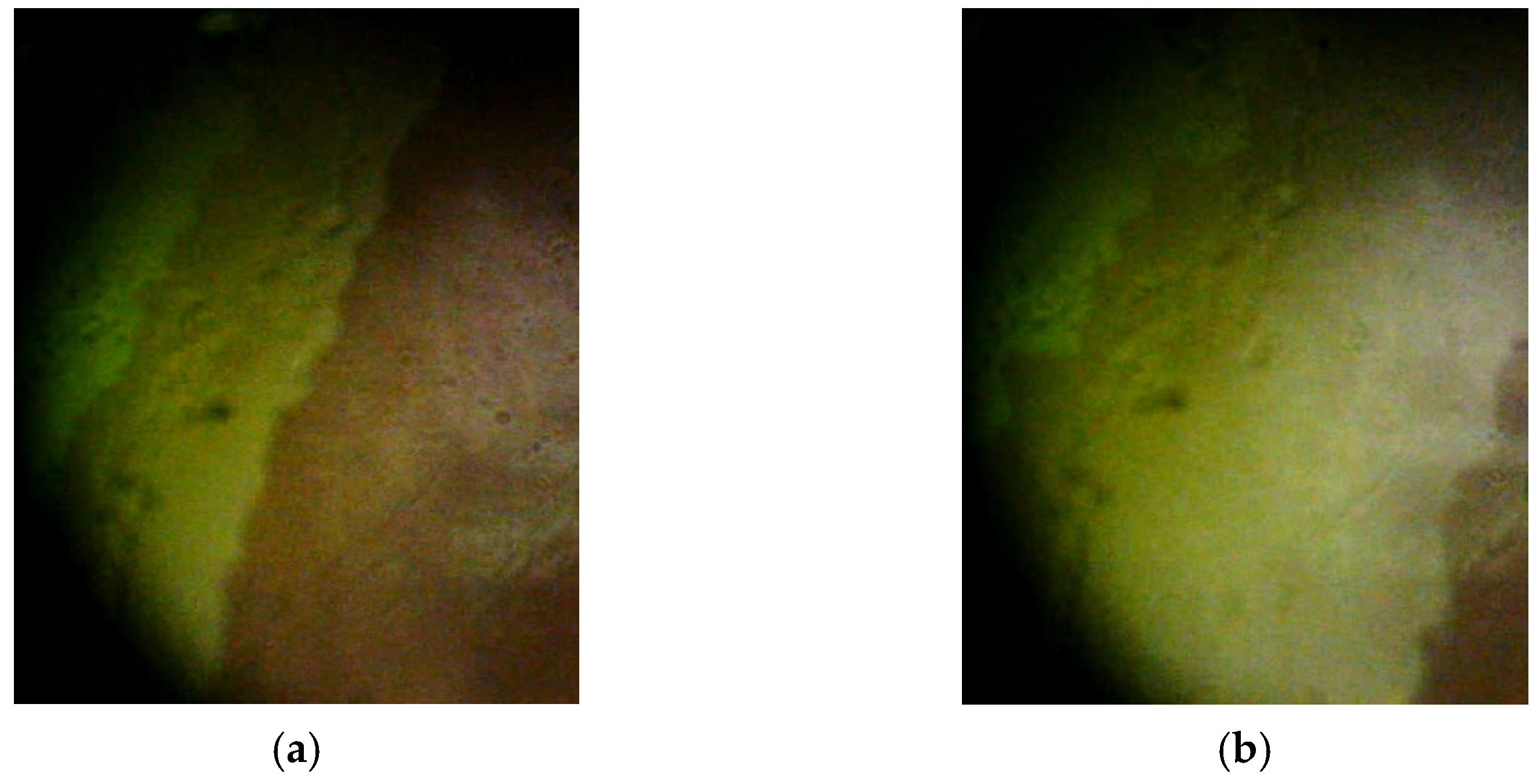 Crystals 13 01297 g004