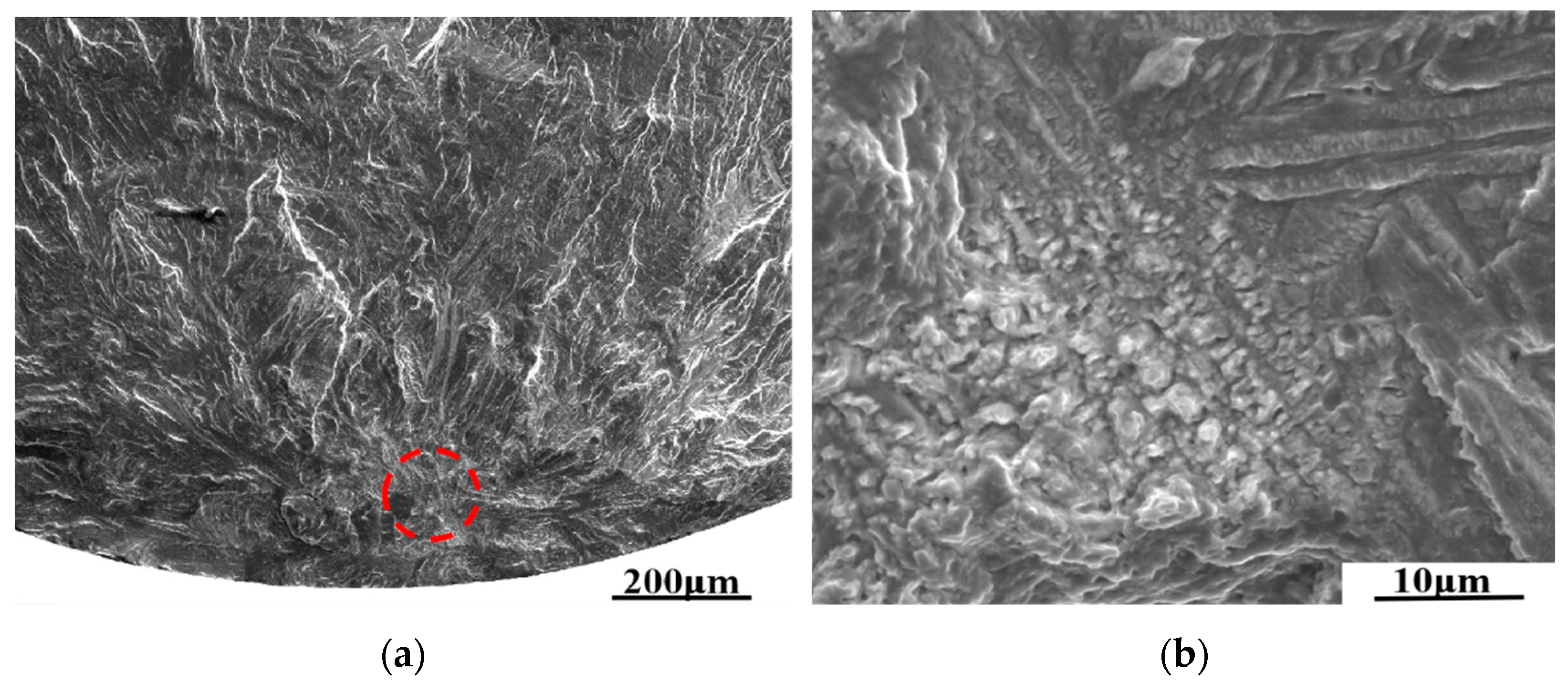 Crystals 13 01327 g005