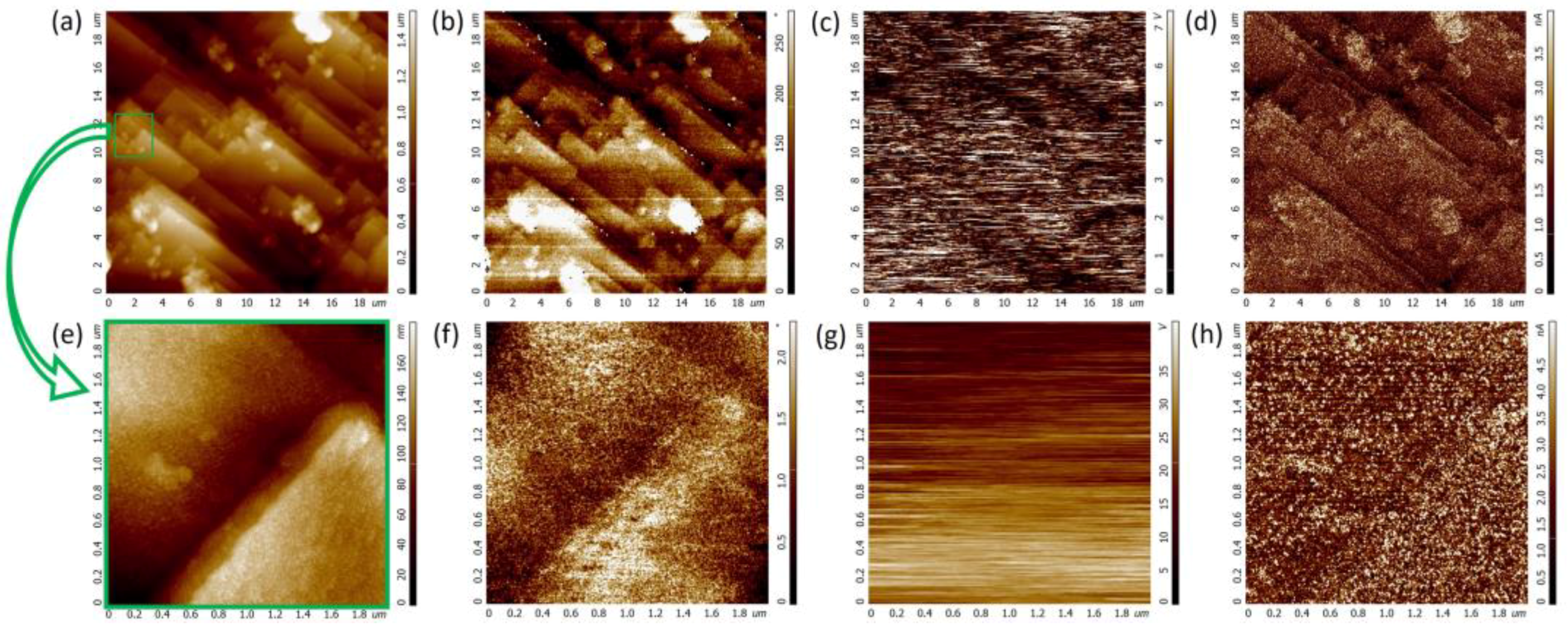 Crystals 13 01331 g006