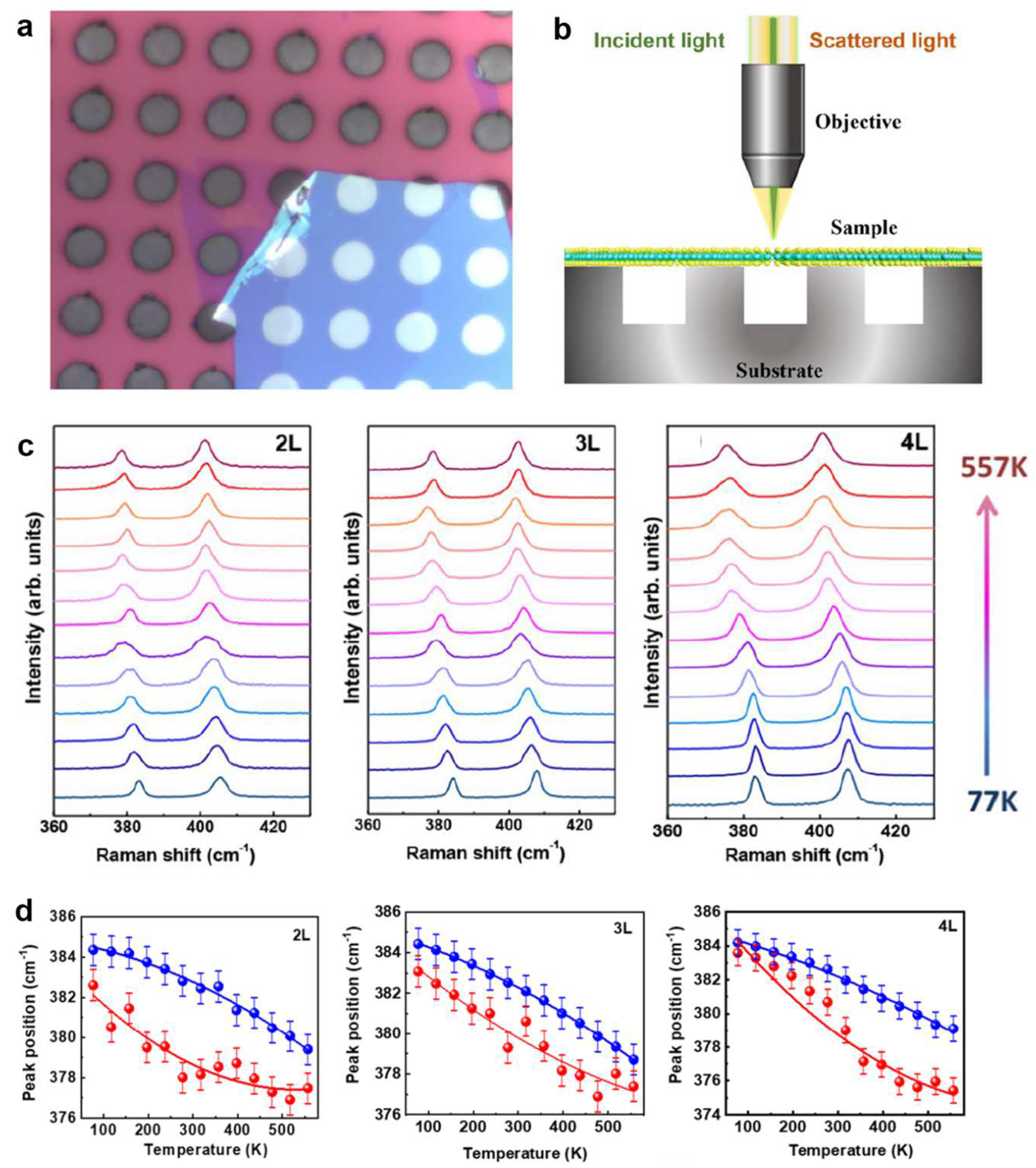 Crystals 13 01337 g005