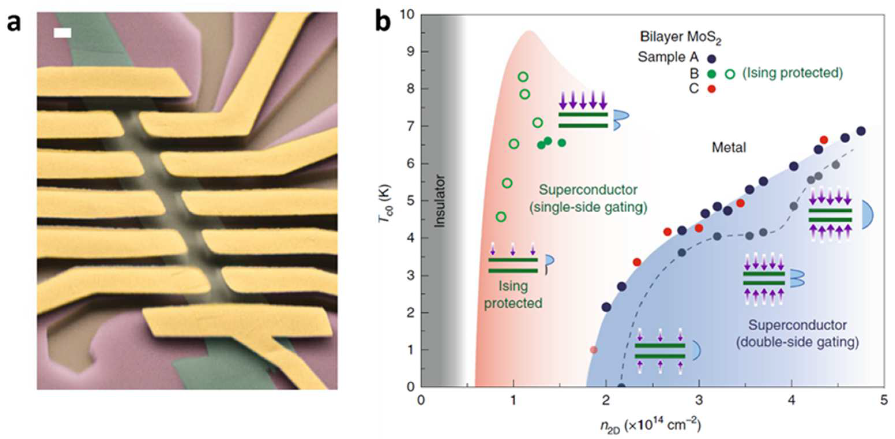 Crystals 13 01337 g006