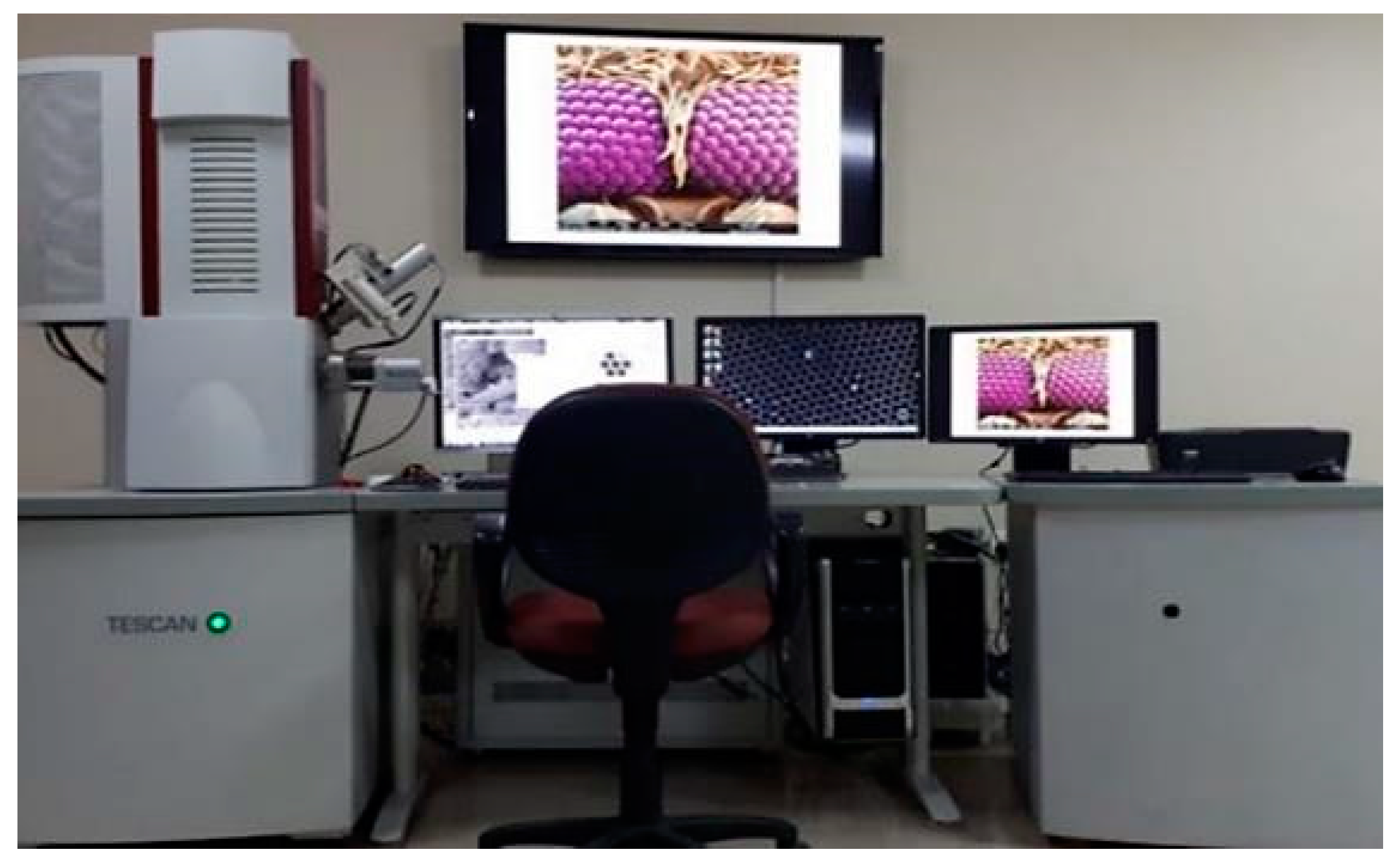 Crystals 13 01347 g003