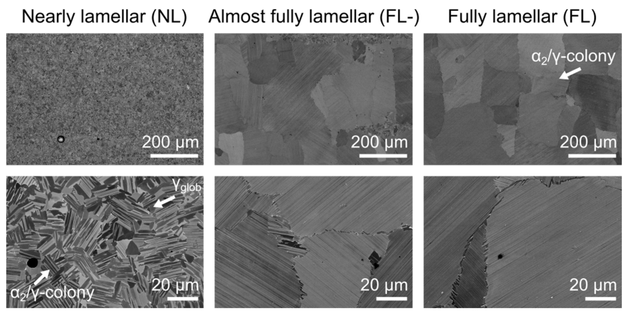 Crystals 13 01348 g006